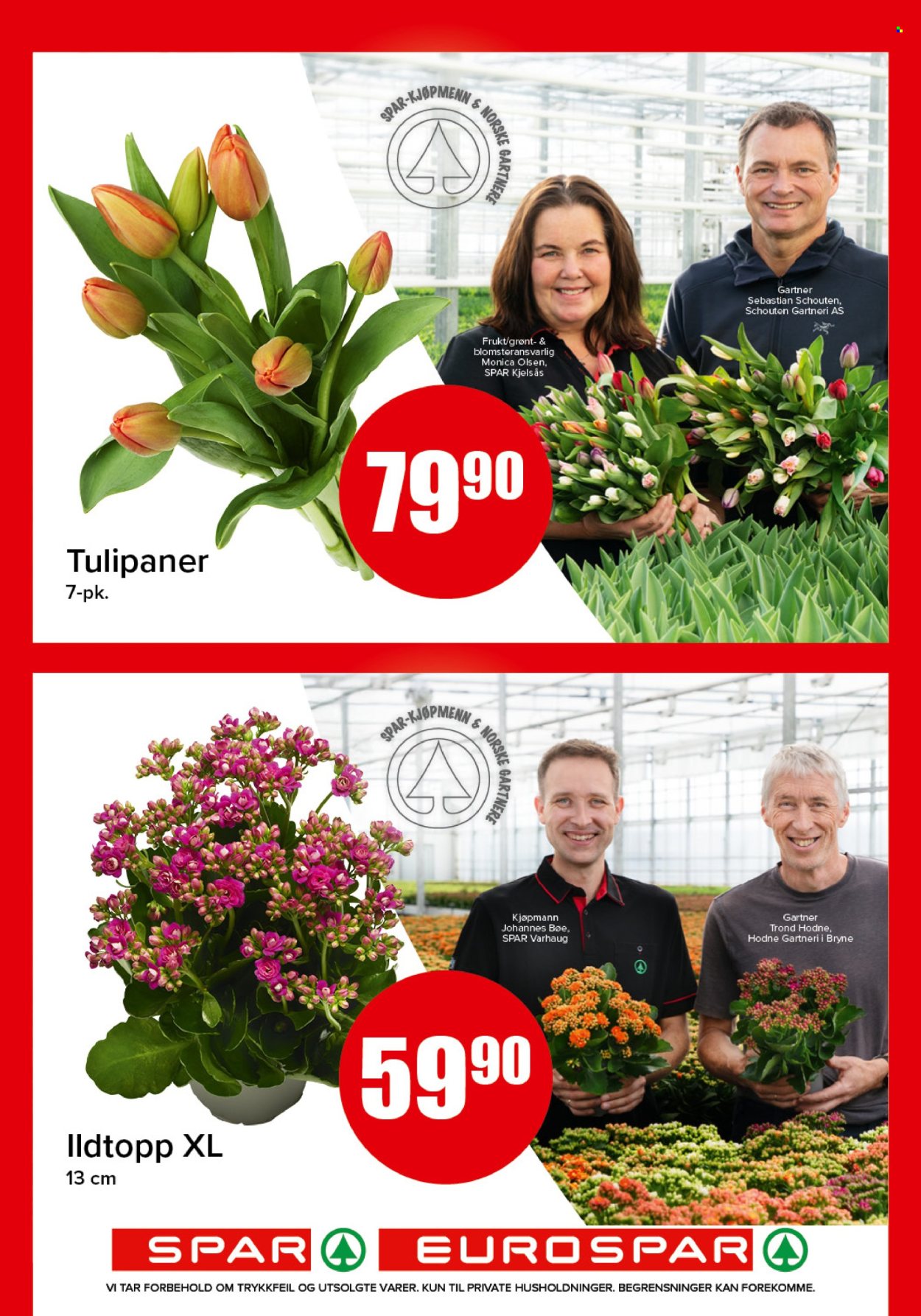 Kundeavis SPAR - 13.10.2025 - 19.10.2025. Side 17