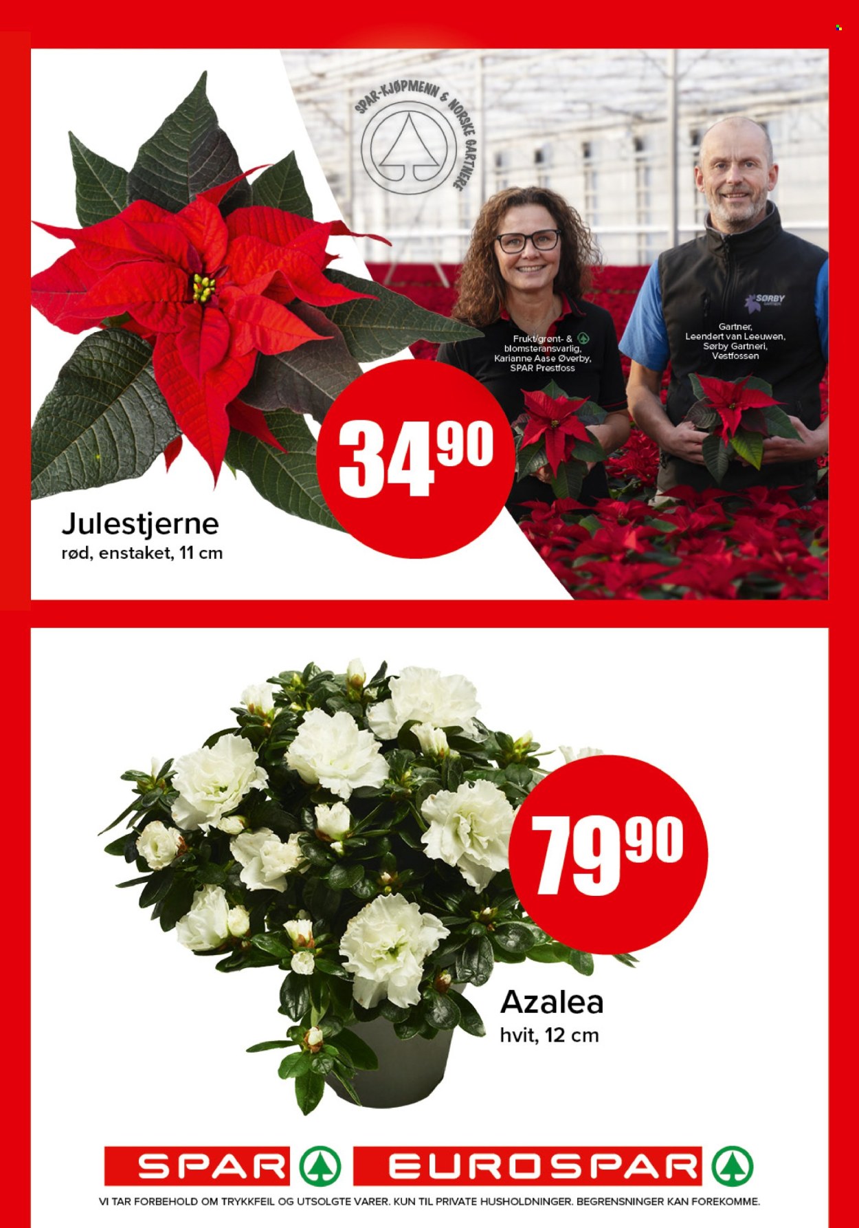 Kundeavis SPAR - 10.11.2025 - 16.11.2025. Side 15