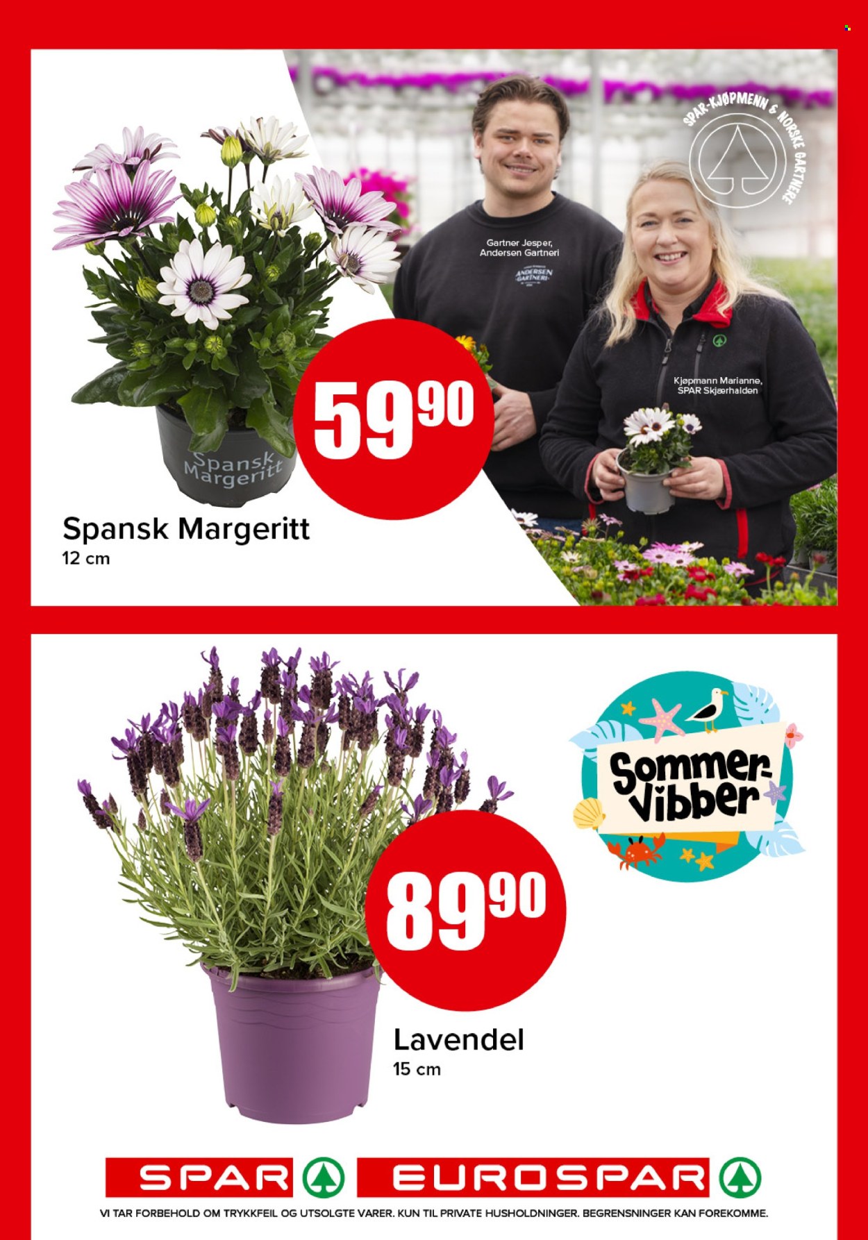 Kundeavis SPAR - 18.5.2026 - 24.5.2026. Side 16