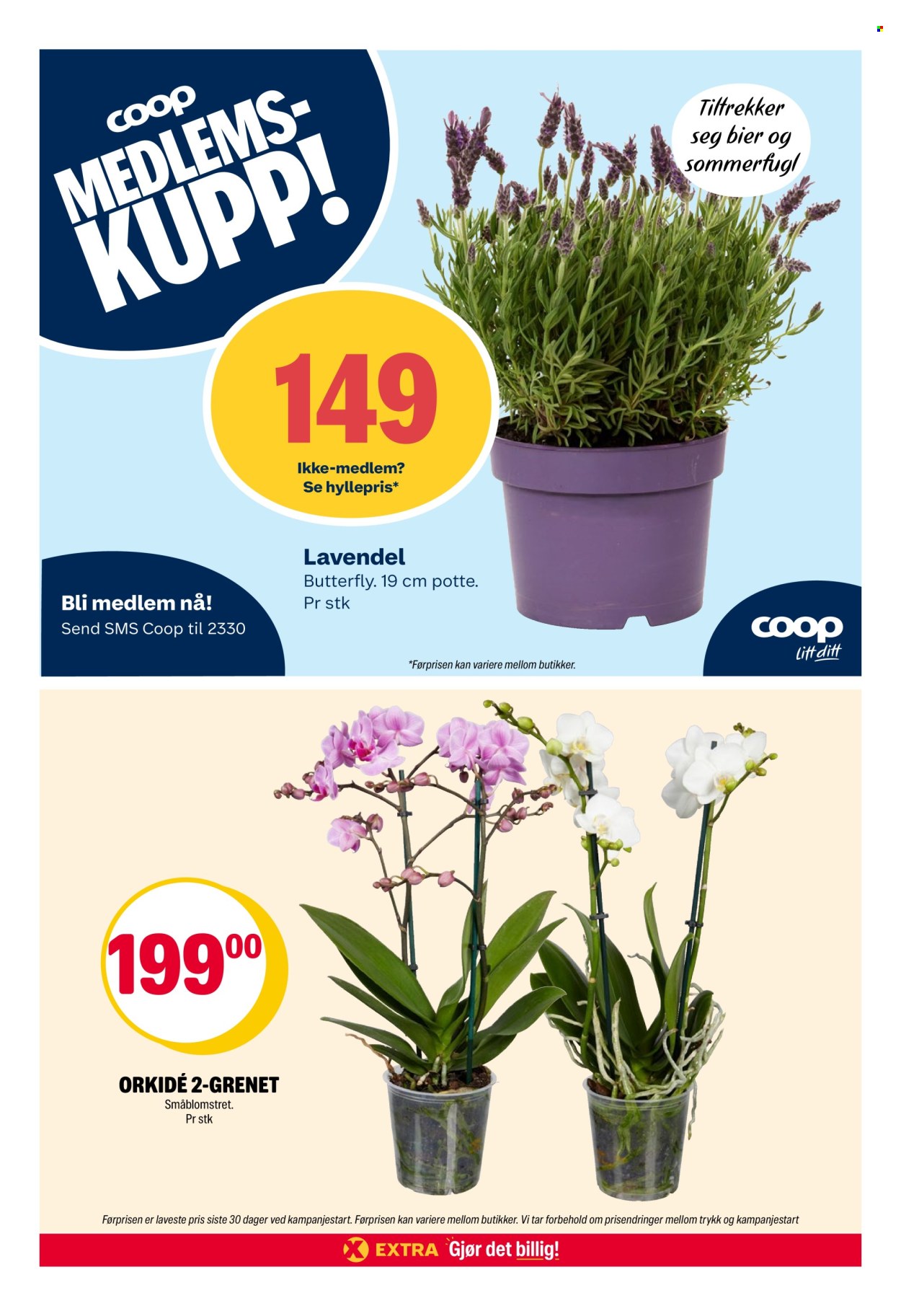 Kundeavis Coop Extra - 15.6.2026 - 21.6.2026. Side 35