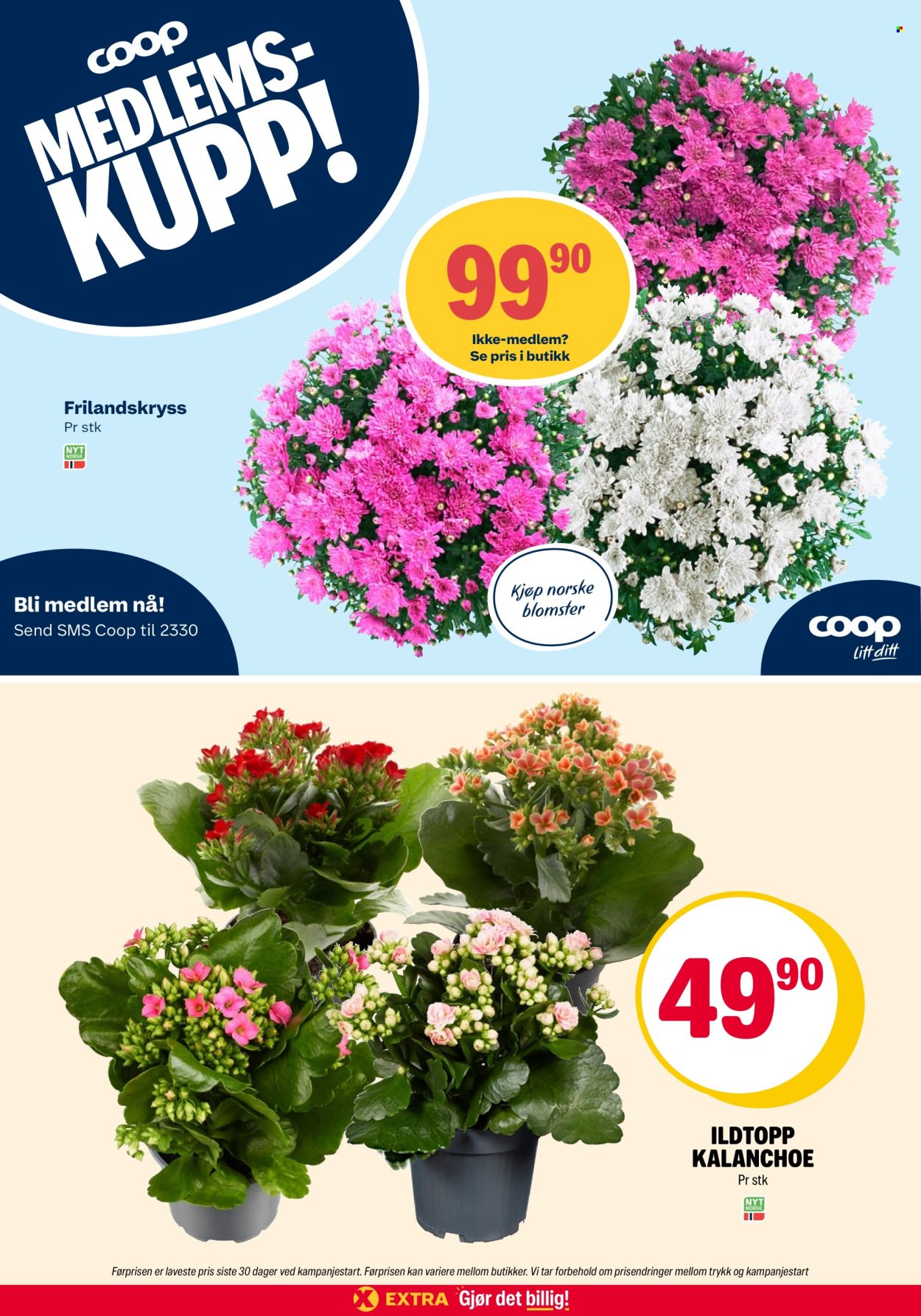 Kundeavis Coop Extra - 6.7.2026 - 12.7.2026. Side 35