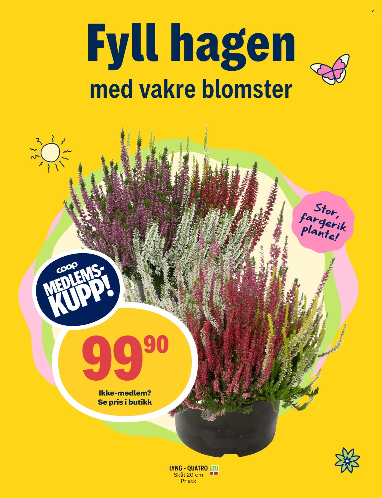 Kundeavis Coop Prix - 24.8.2026 - 30.8.2026. Side 11