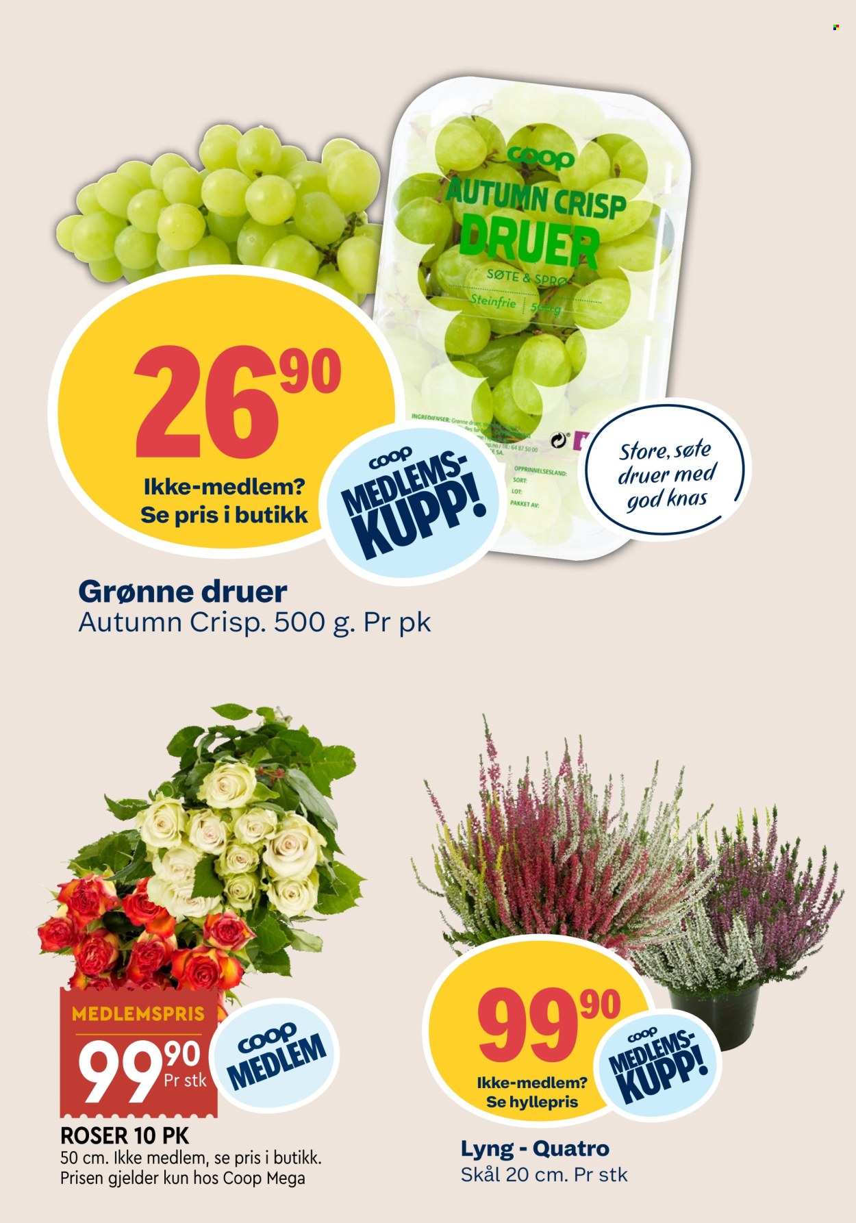 Kundeavis Coop Mega - 14.9.2026 - 19.9.2026. Side 14