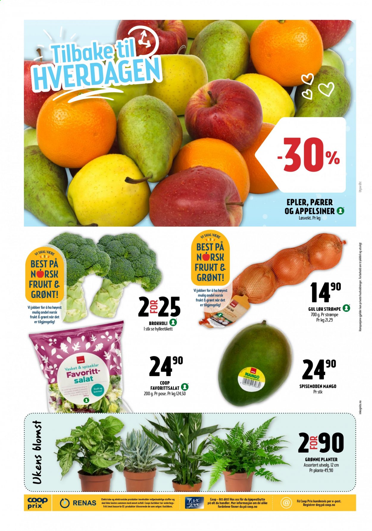 thumbnail - Kundeavis Coop Prix - 4.1.2021 - 10.1.2021 - Produkter fra tilbudsaviser - epler, mango, pærer, brokkoli, løk, salat. Side 4.