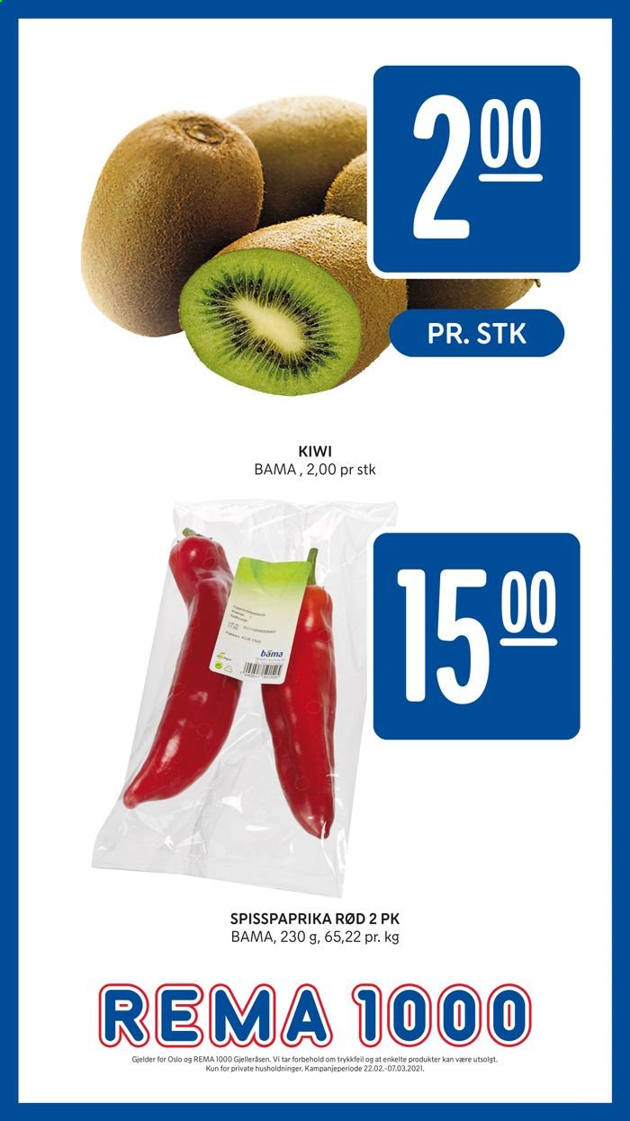 Kundeavis Rema 1000 - 22.2.2021 - 7.3.2021. Side 15