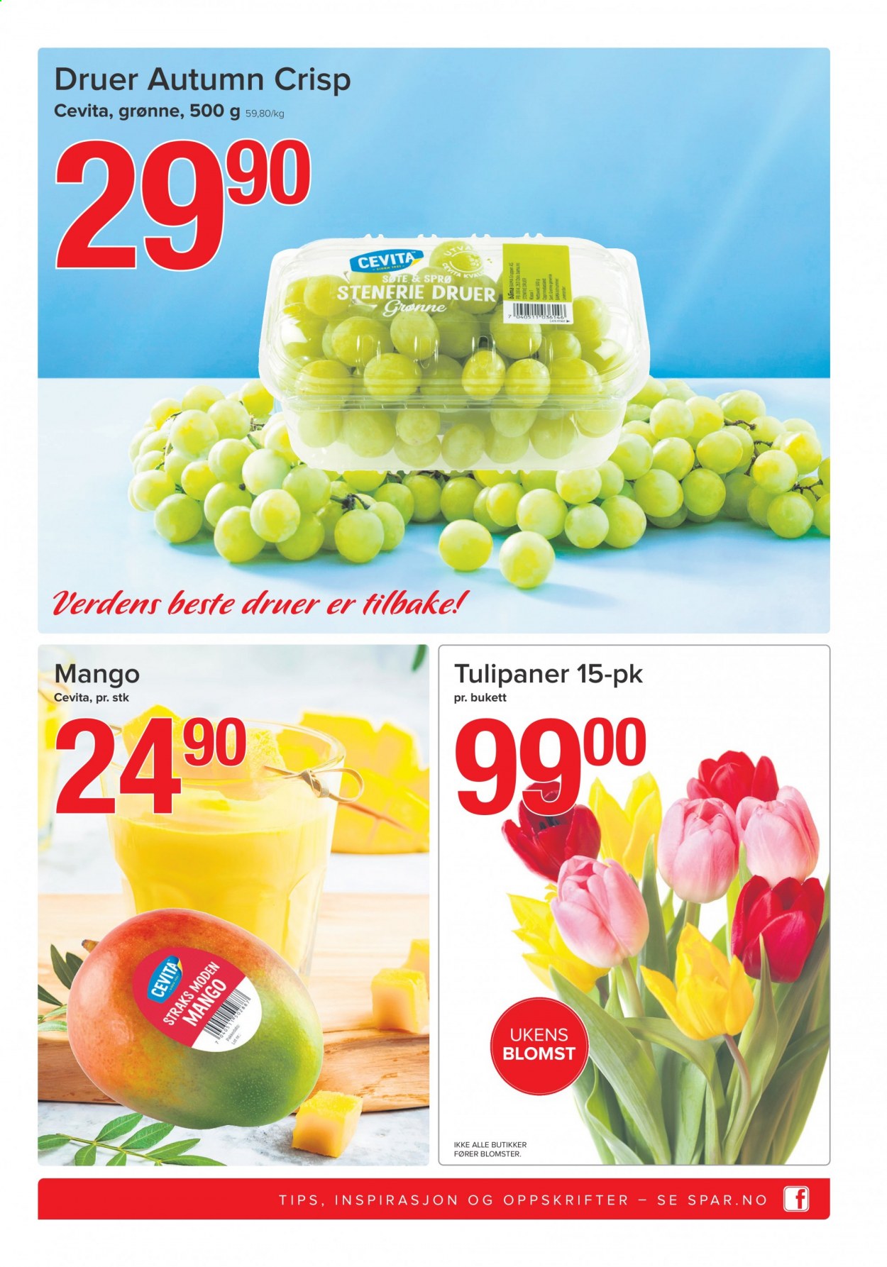 Kundeavis SPAR - 1.3.2021 - 7.3.2021. Side 5