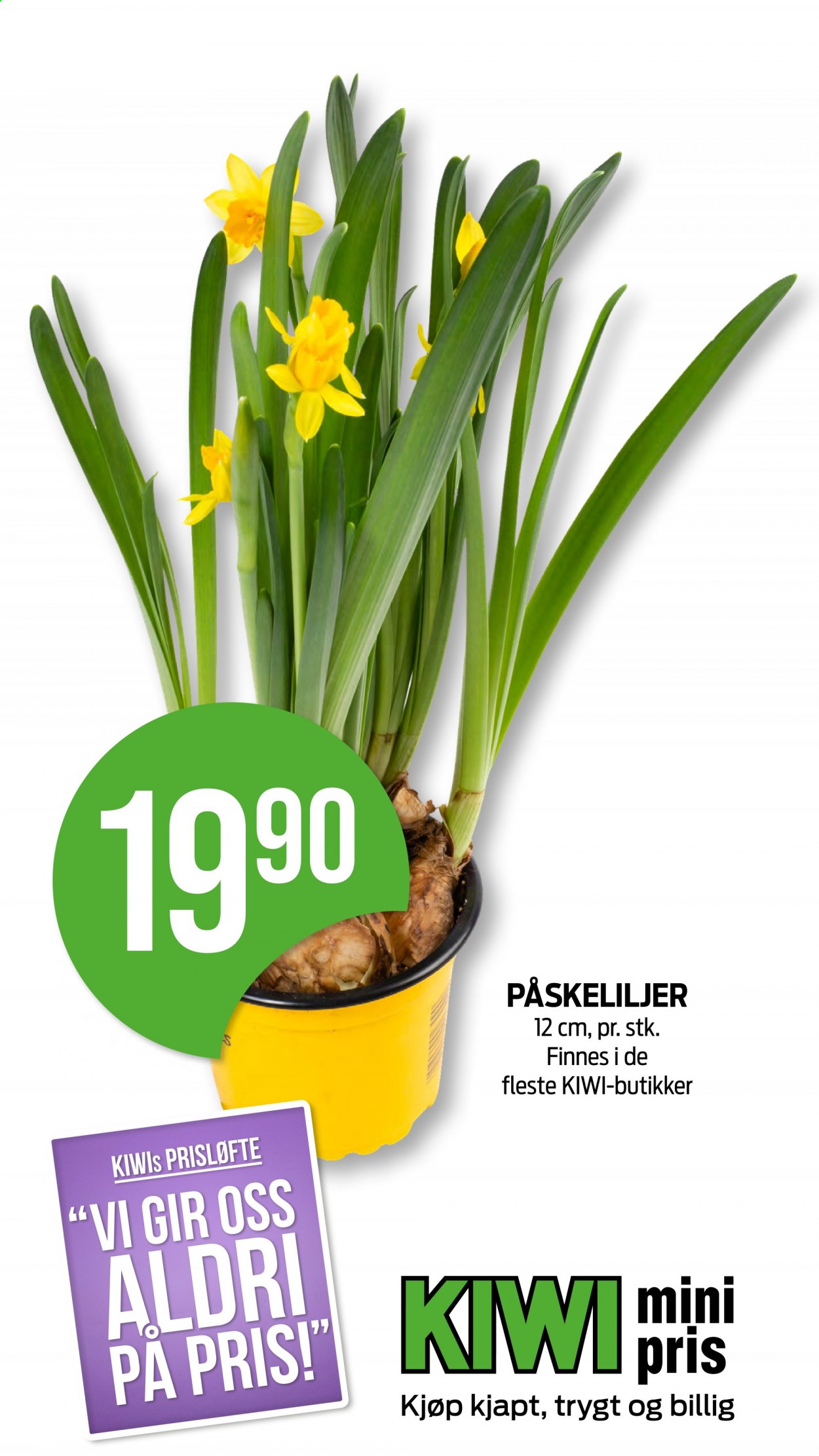 Kundeavis KIWI - 15.3.2021 - 21.3.2021. Side 38