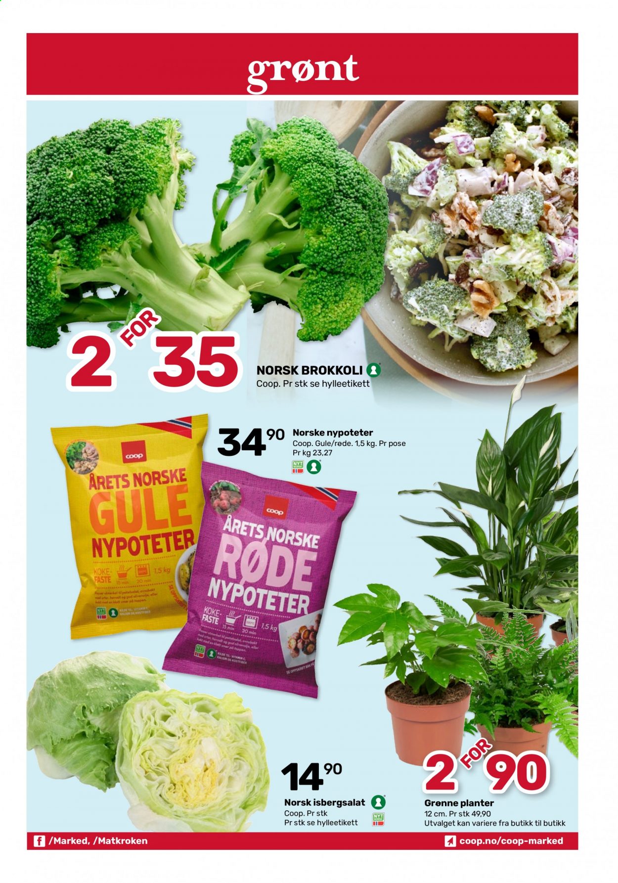 thumbnail - Kundeavis Coop Marked - 26.7.2021 - 7.8.2021 - Produkter fra tilbudsaviser - brokkoli, isbergsalat, potetsalat. Side 3.