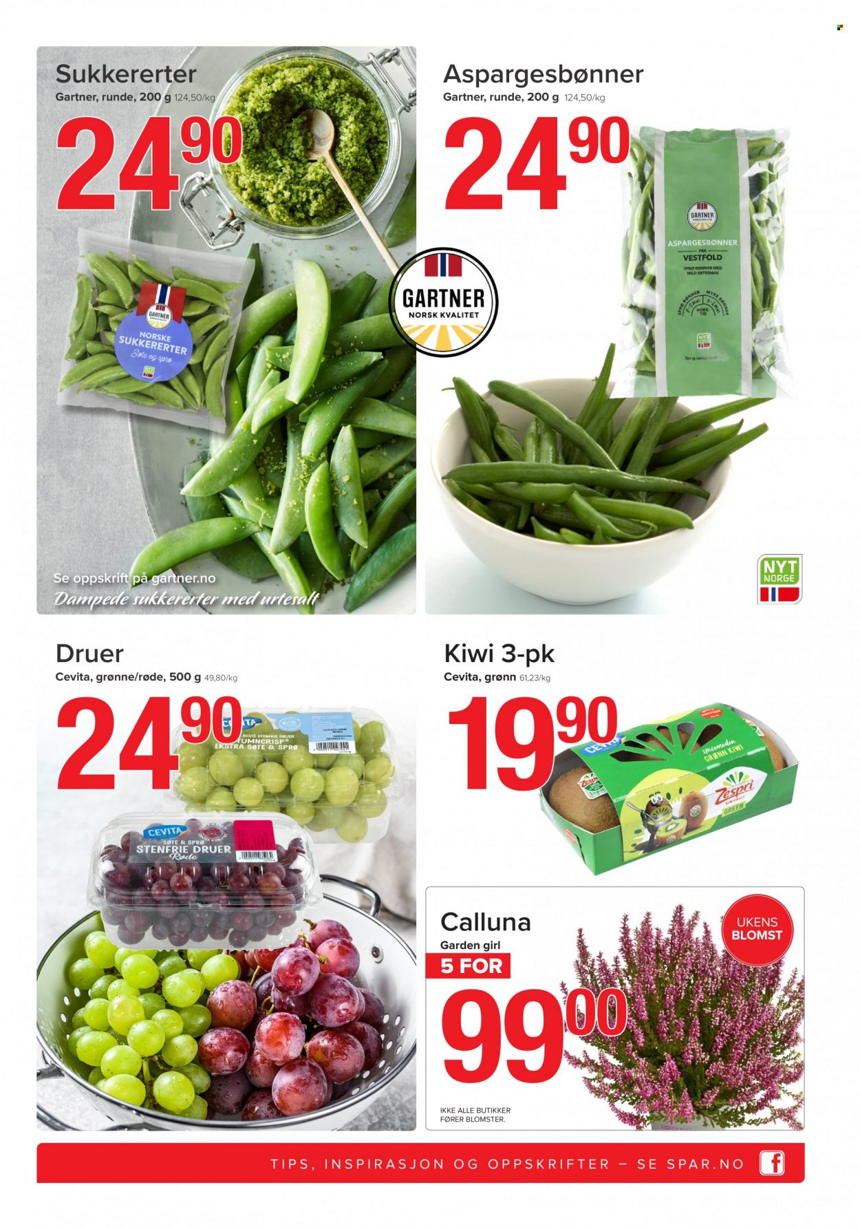 thumbnail - Kundeavis SPAR - 20.9.2021 - 26.9.2021 - Produkter fra tilbudsaviser - kiwi, druer, aspargesbønner, sukkererter, bønner, blomster. Side 5.