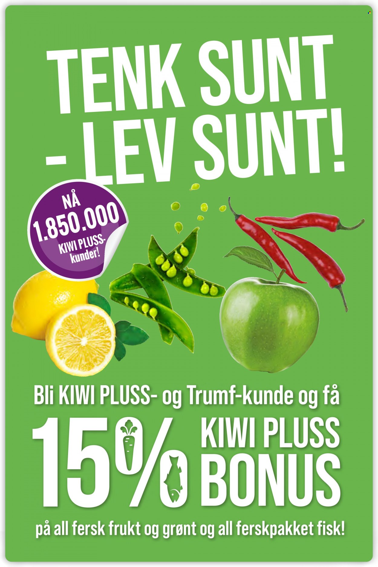 Kundeavis KIWI. Side 17