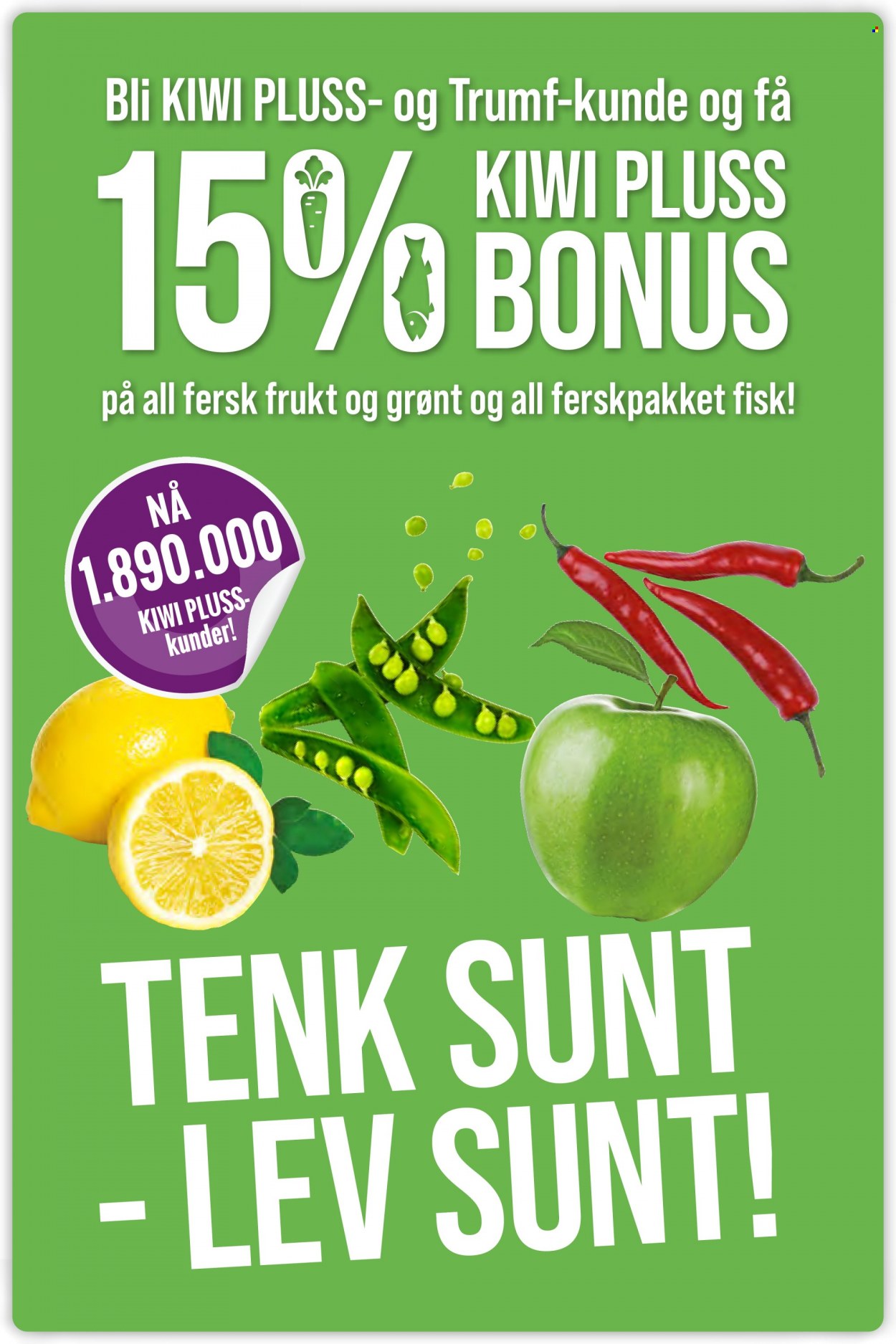 Kundeavis KIWI. Side 17
