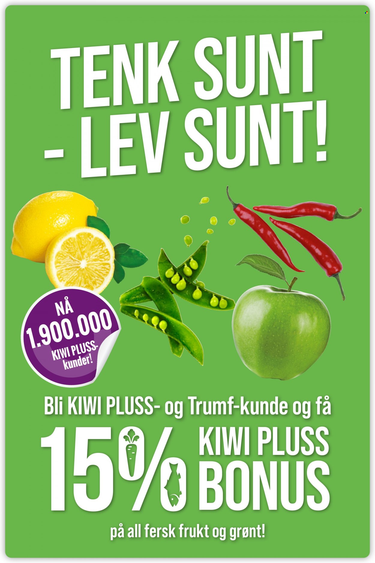 Kundeavis KIWI. Side 15