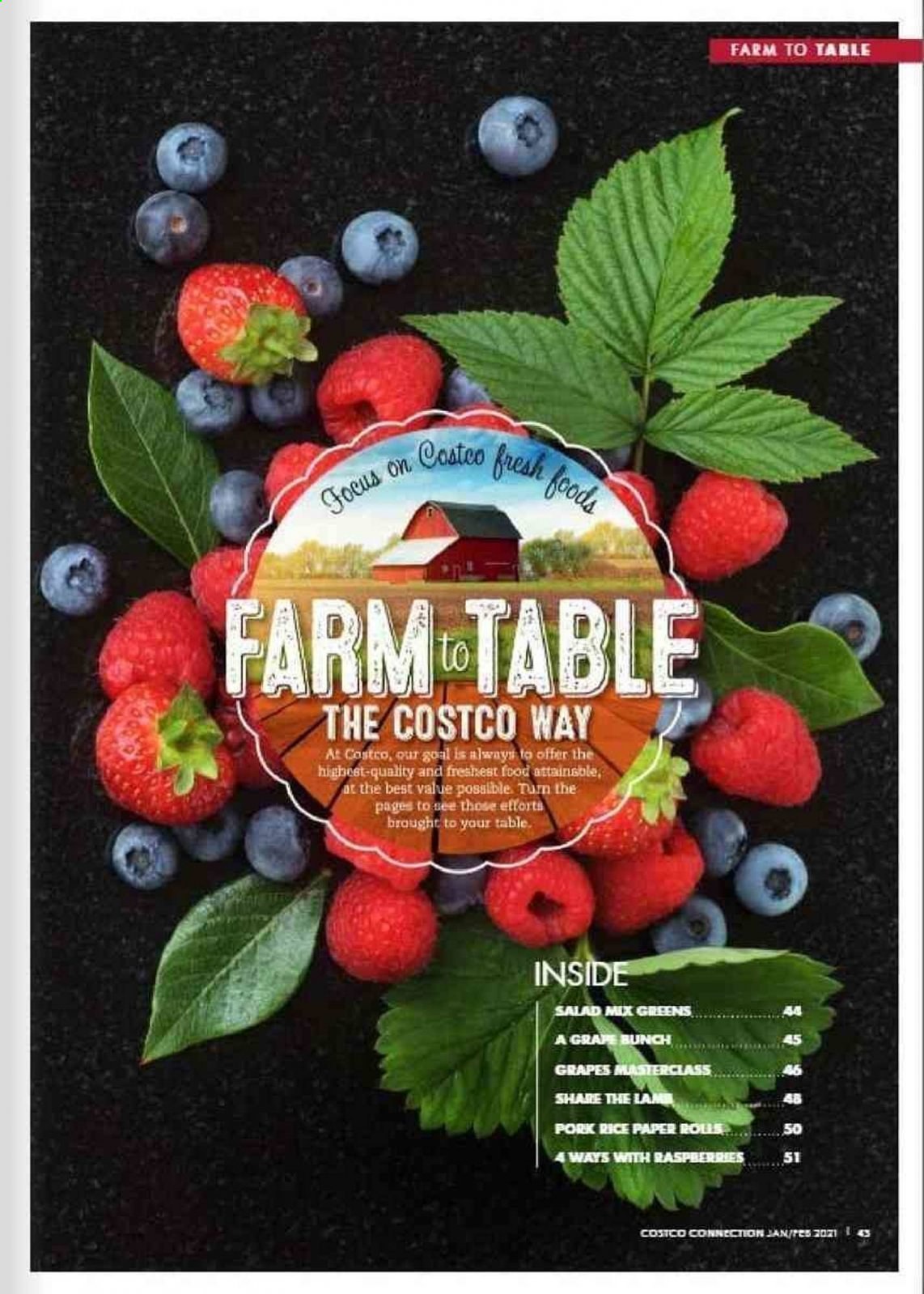 Costco catalogue - 1 Jan 2021 - 28 Feb 2021. Page 43