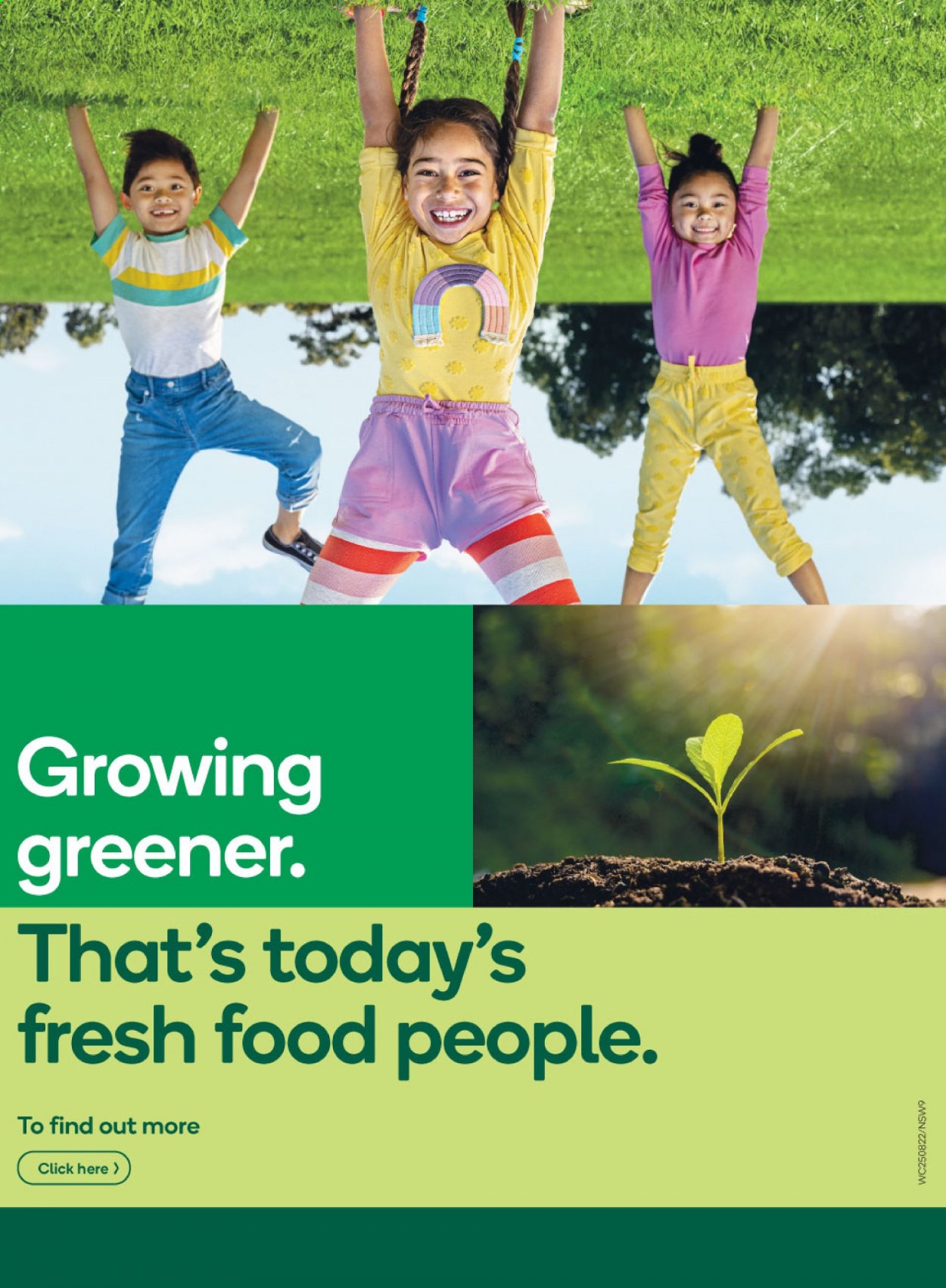 Woolworths catalogue - 25 Aug 2021 - 31 Aug 2021. Page 9