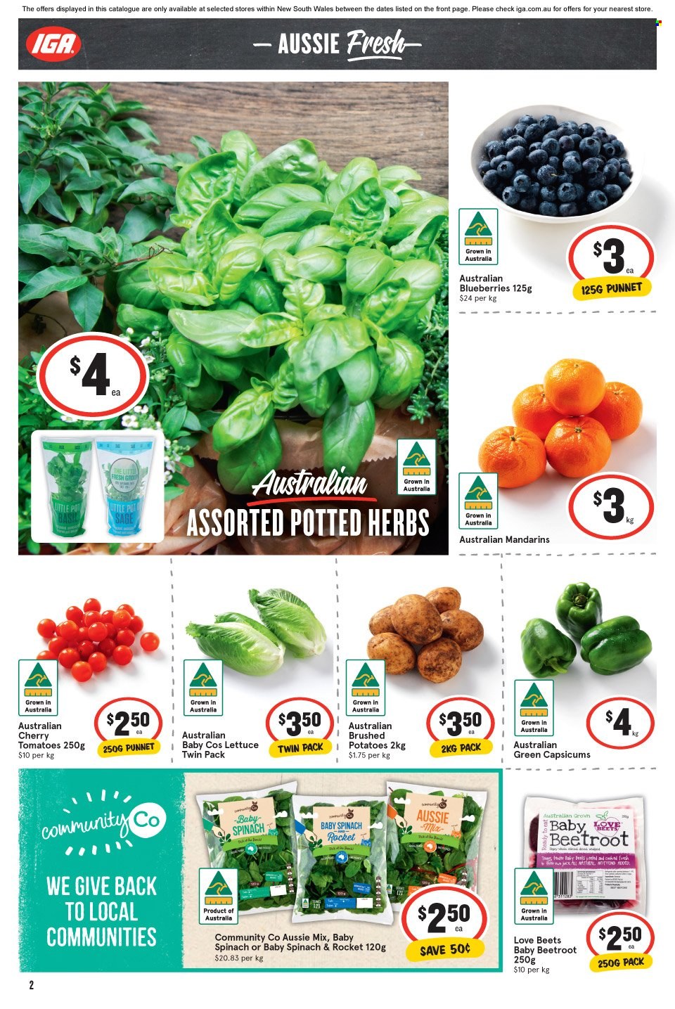 IGA catalogue - 8 Sep 2021 - 14 Sep 2021. Page 2