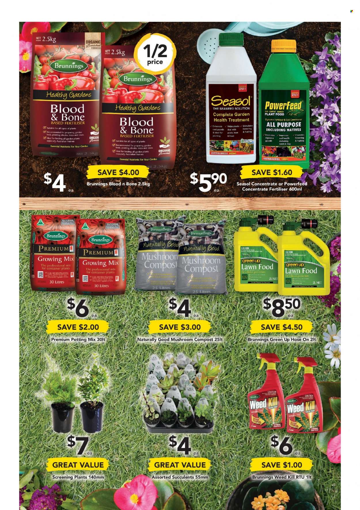 Drakes catalogue - 15 Sep 2021 - 21 Sep 2021. Page 31