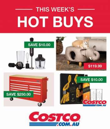 Costco Catalogue.