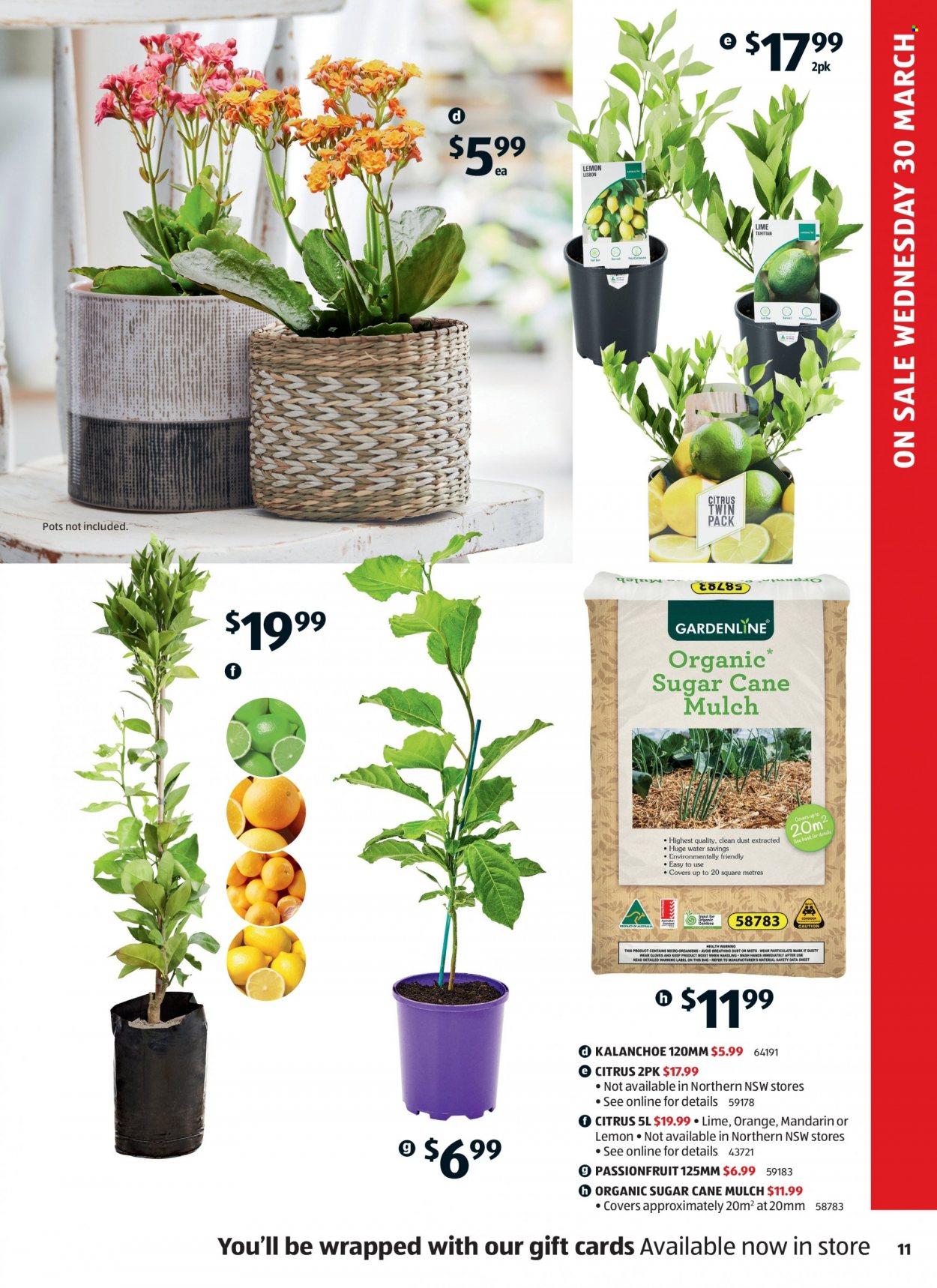 ALDI catalogue - 30 Mar 2022 - 6 Apr 2022. Page 11