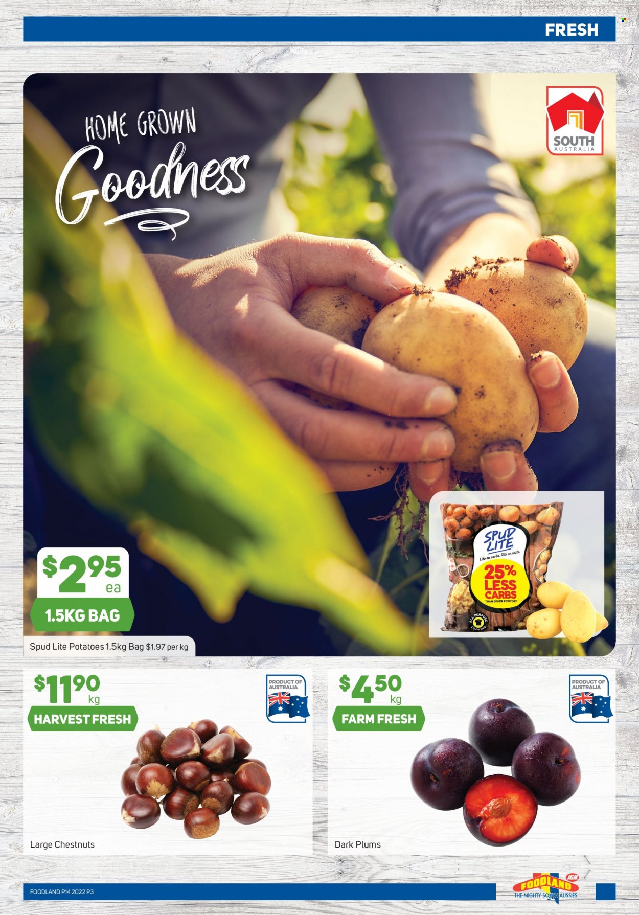 Foodland catalogue - 6 Apr 2022 - 12 Apr 2022. Page 3
