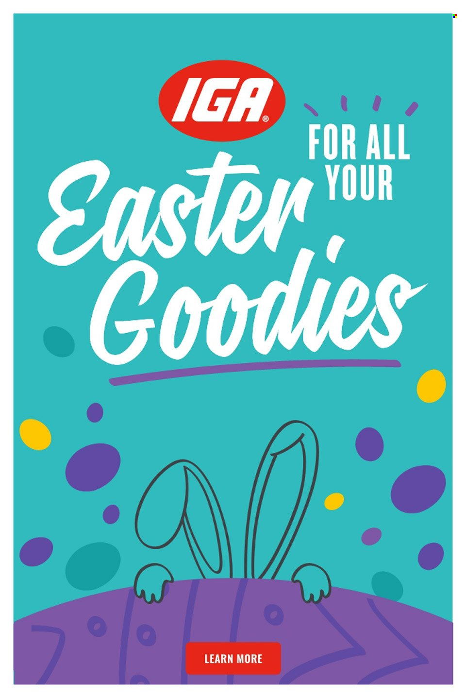 IGA catalogue - 13 Apr 2022 - 19 Apr 2022. Page 17