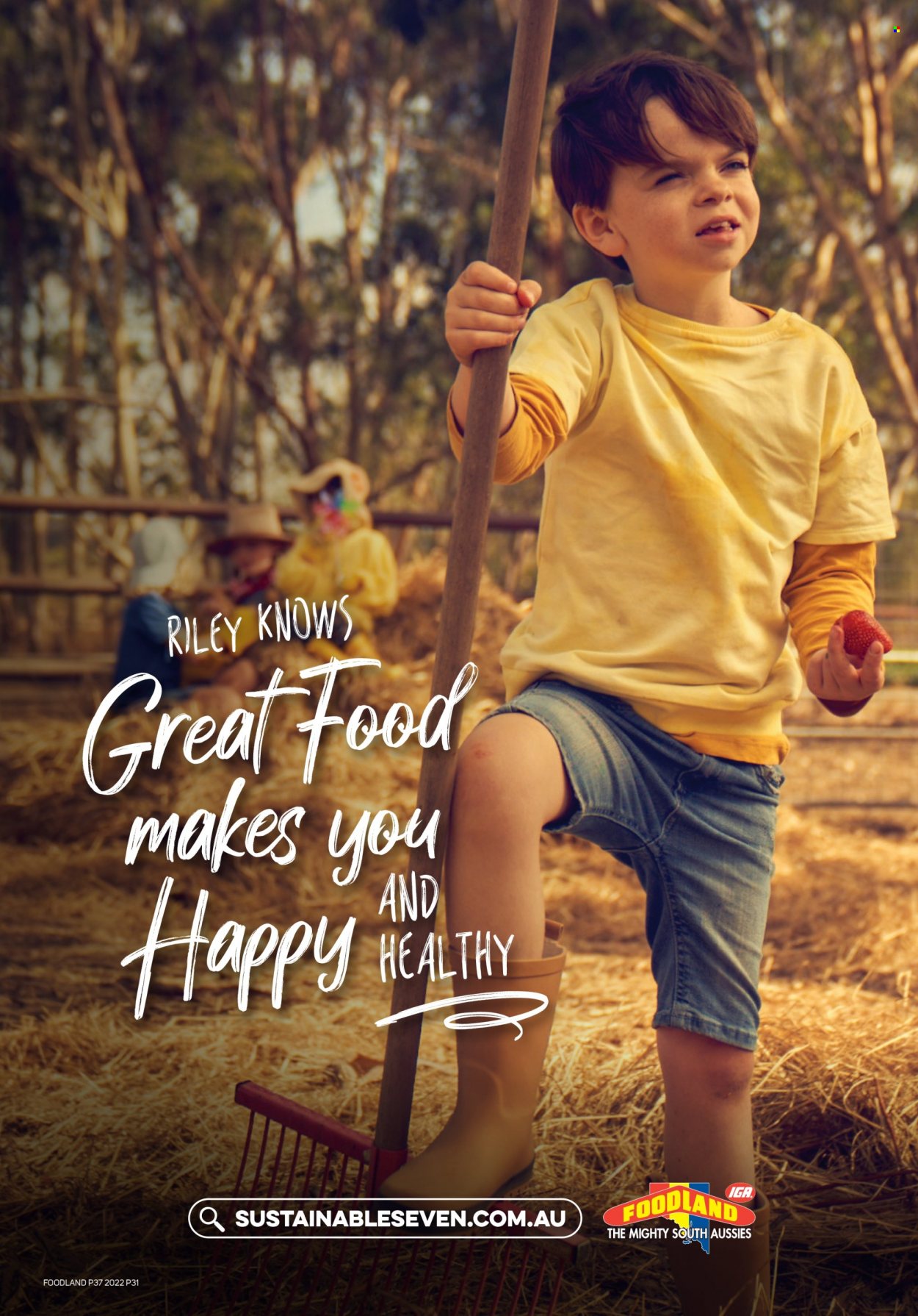 Foodland catalogue - 14 Sep 2022 - 20 Sep 2022. Page 31