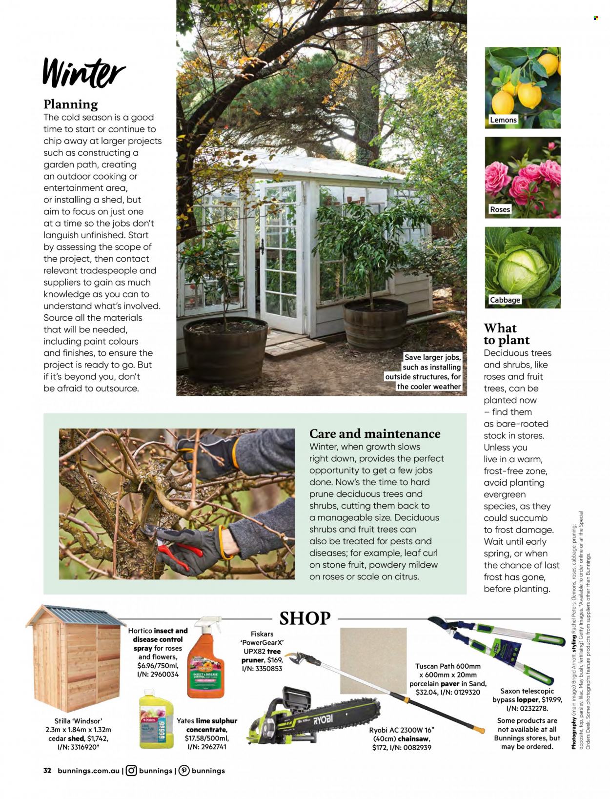 thumbnail - Bunnings Warehouse Catalogue - Sales products - desk, scale, Fiskars, paint, Ryobi, chain saw, tree pruner, shed, fruit tree, rose, Yates. Page 32.