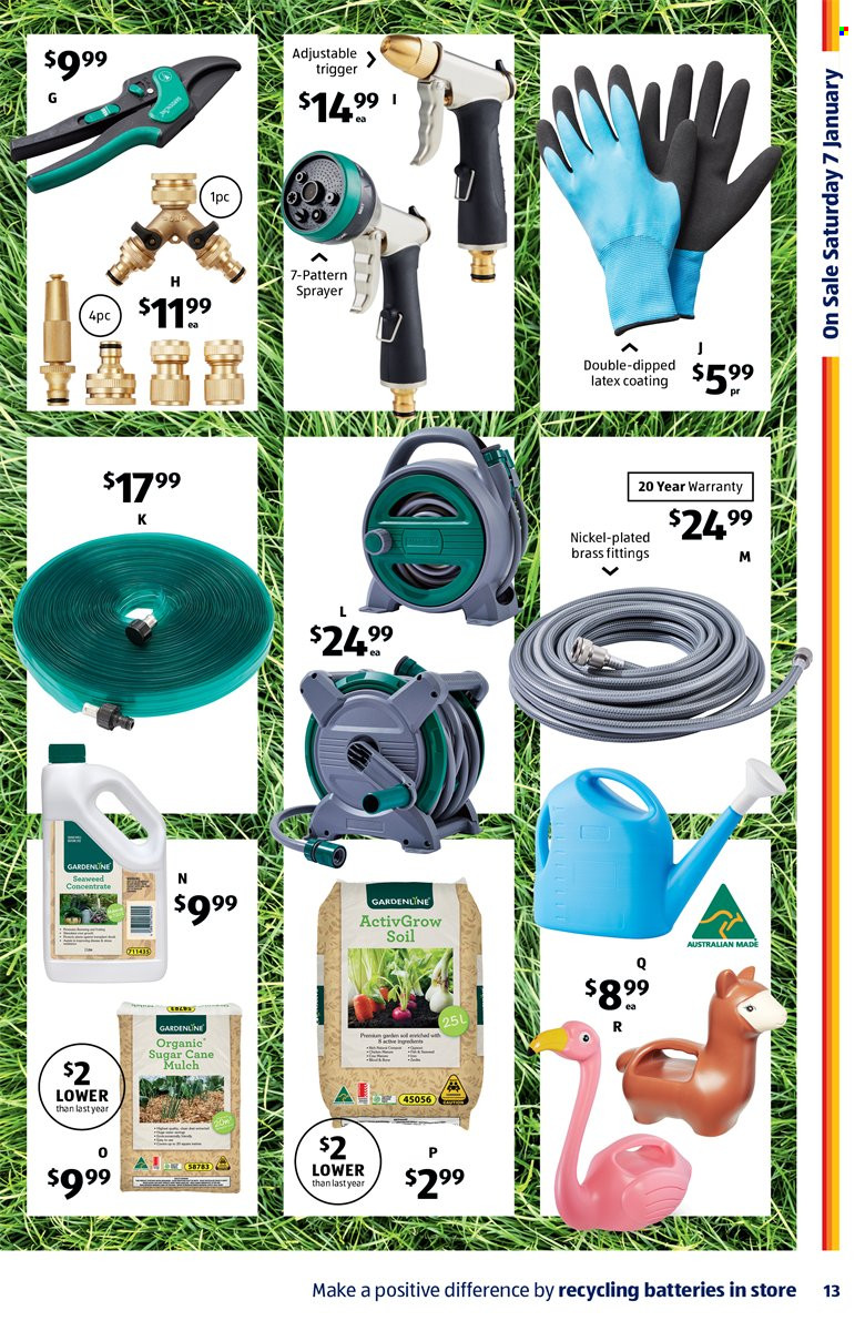 ALDI catalogue - 4 Jan 2023 - 10 Jan 2023. Page 13