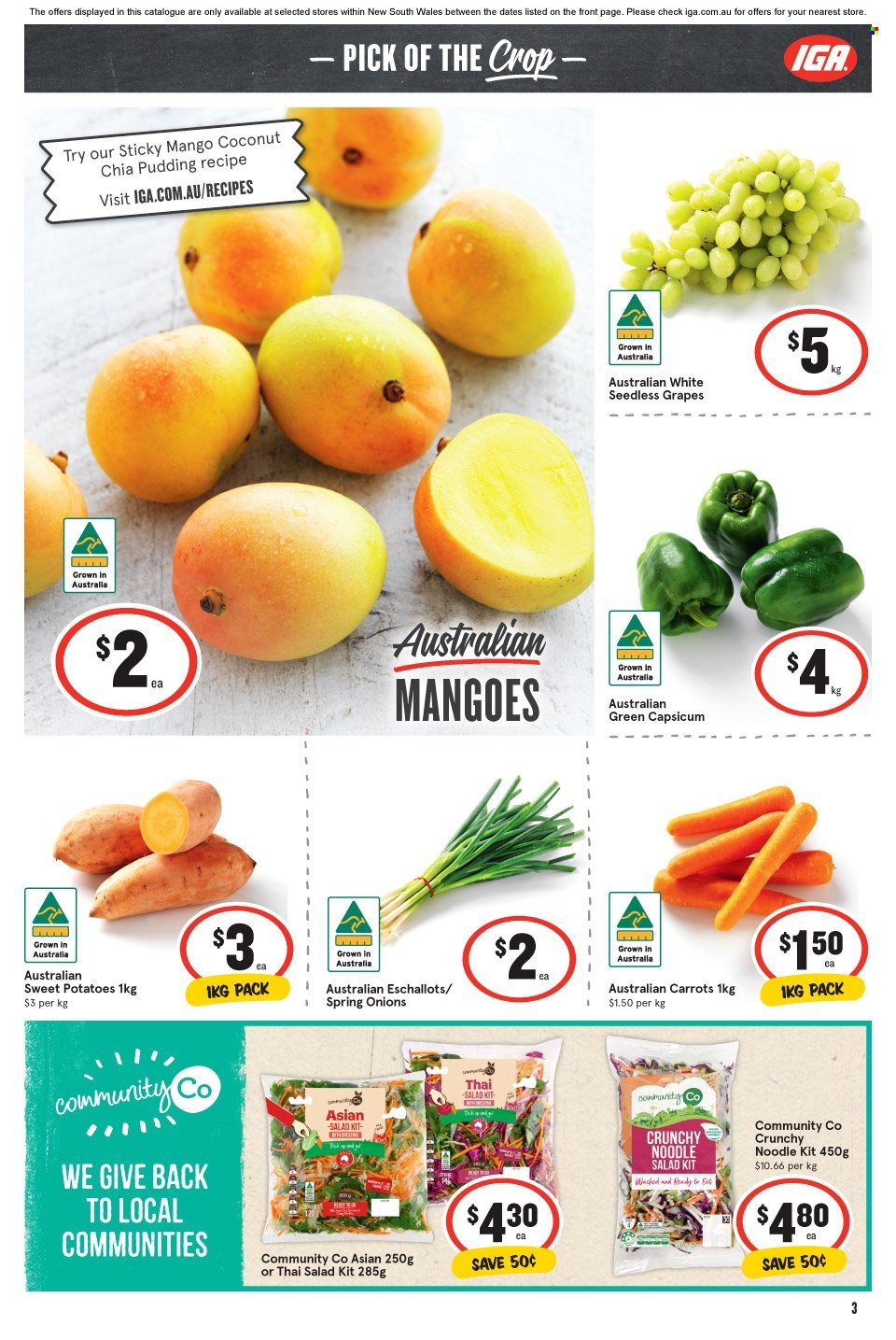 IGA catalogue - 18 Jan 2023 - 24 Jan 2023. Page 3