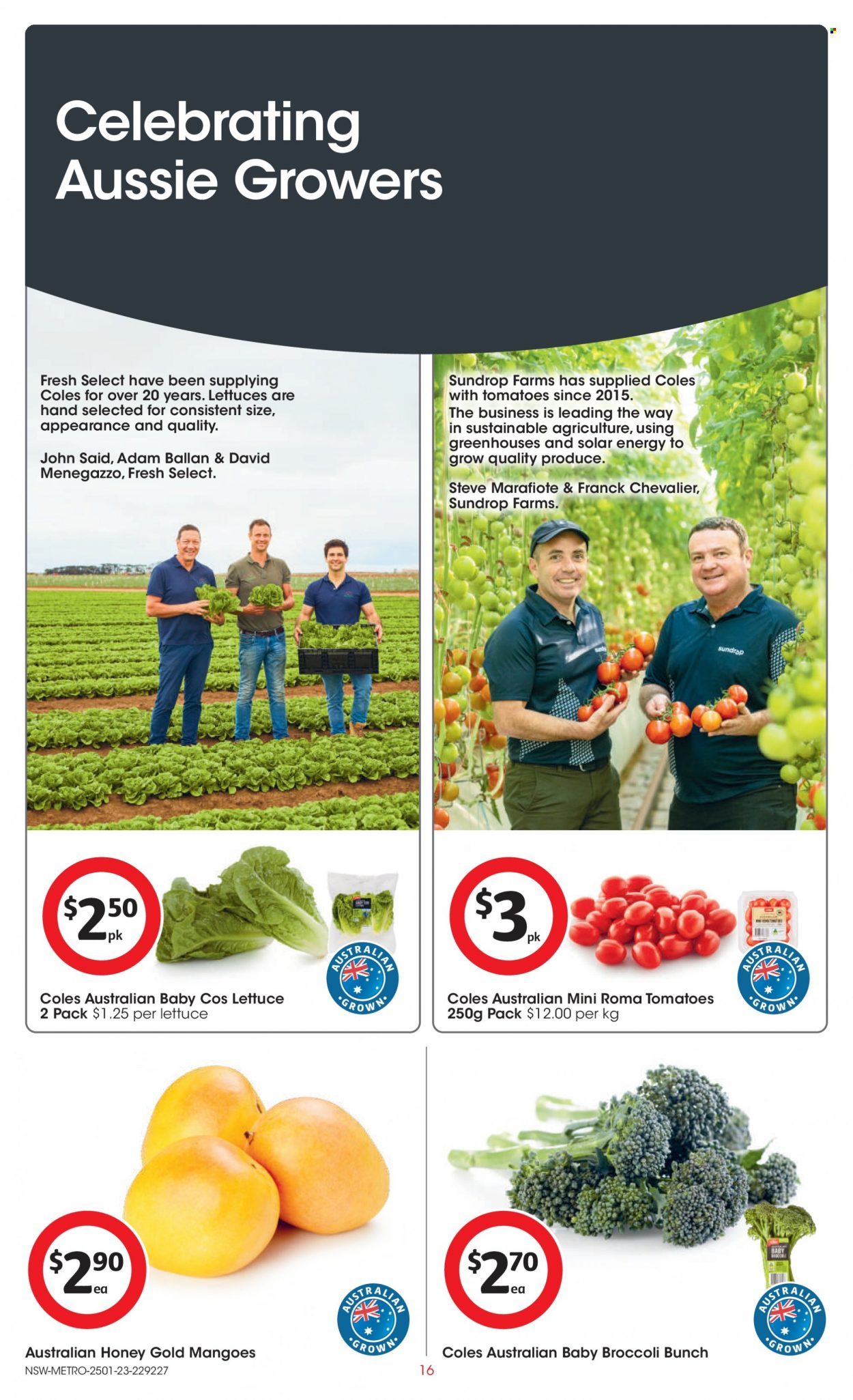 Coles catalogue - 25 Jan 2023 - 31 Jan 2023. Page 16
