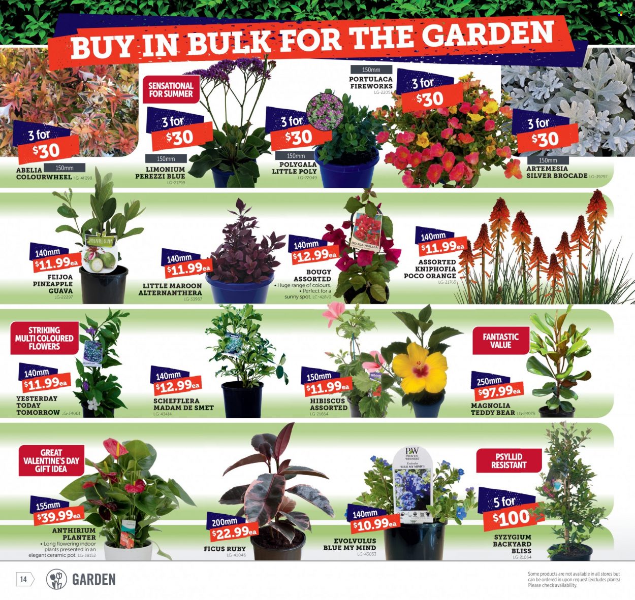 thumbnail - Stratco Catalogue - 27 Jan 2023 - 12 Feb 2023 - Sales products - pot, fireworks. Page 14.