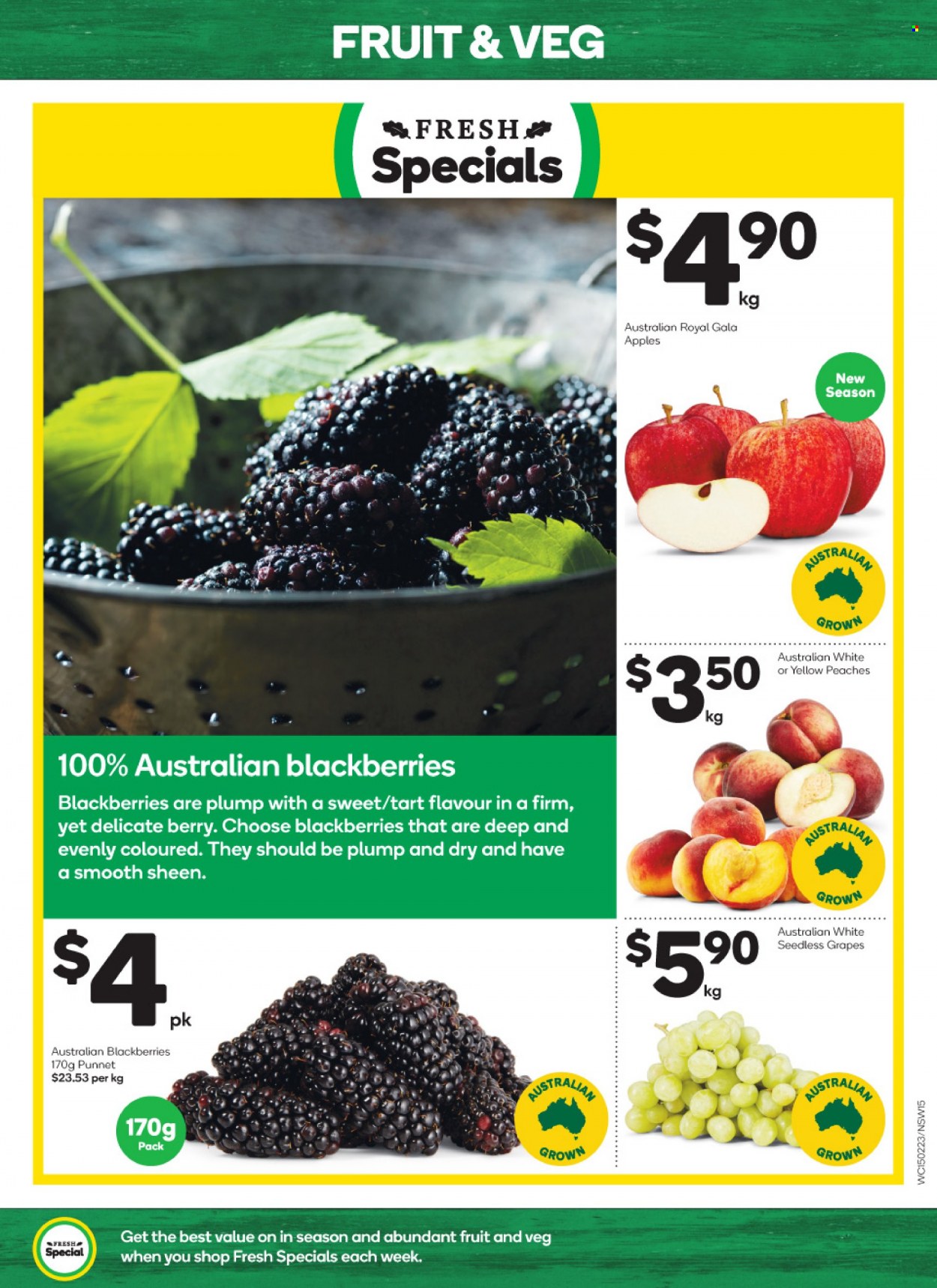 Woolworths catalogue - 15 Feb 2023 - 21 Feb 2023. Page 15