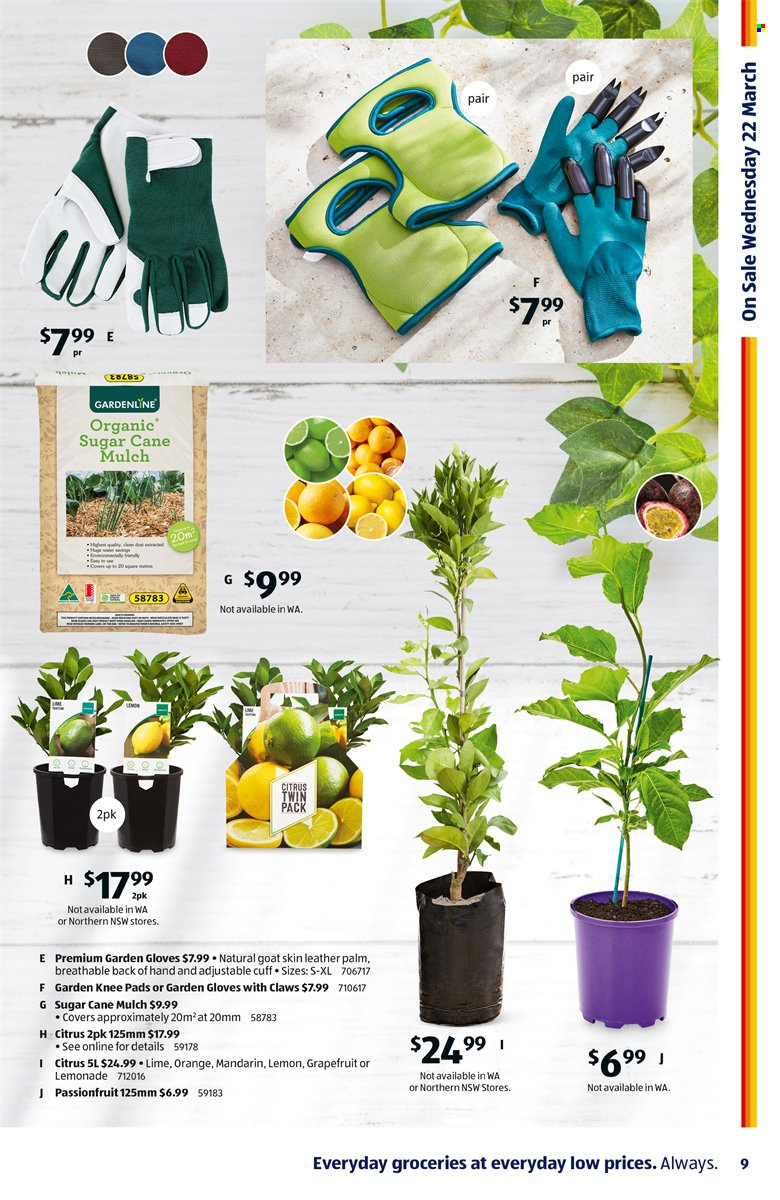 ALDI catalogue - 22 Mar 2023 - 28 Mar 2023. Page 9