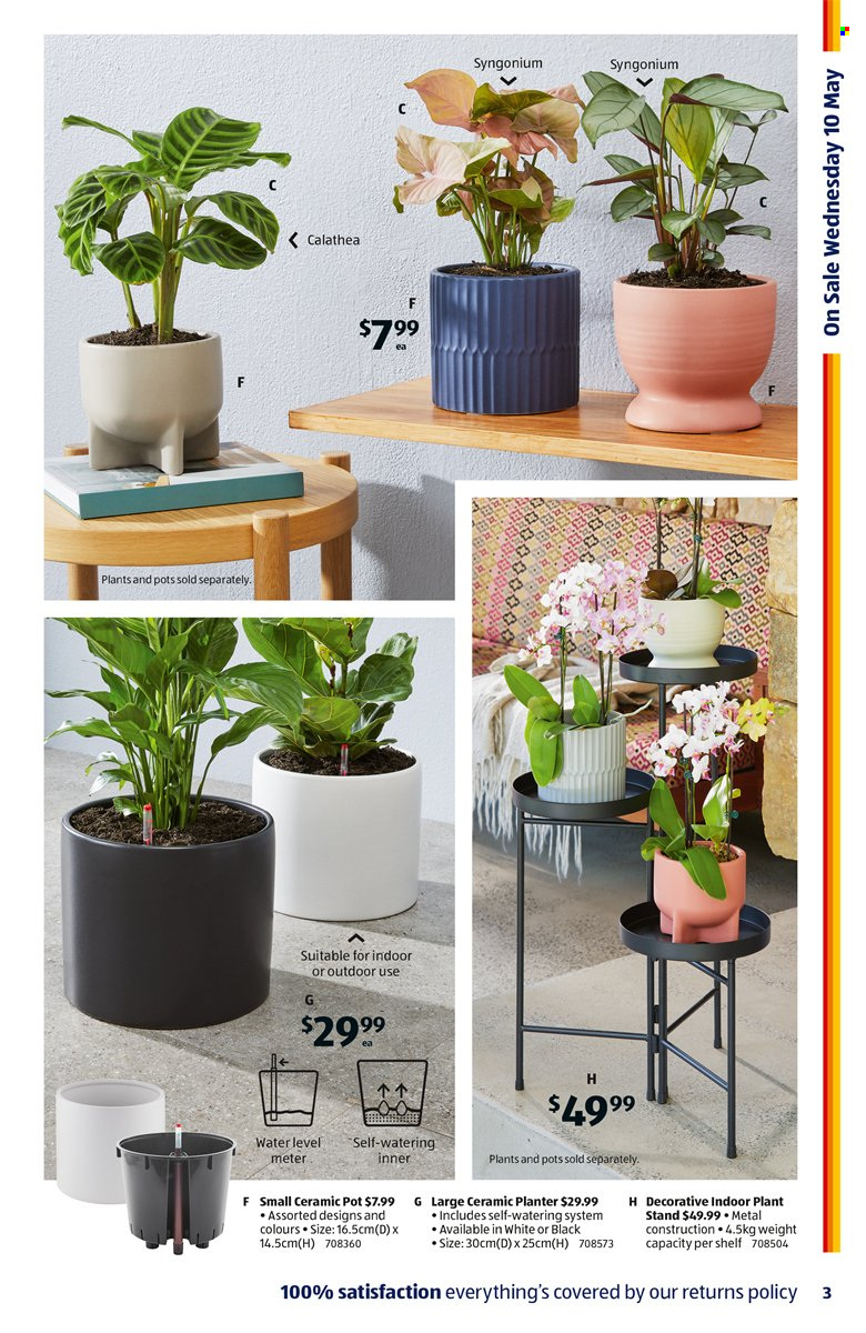 ALDI catalogue - 10 May 2023 - 16 May 2023. Page 3