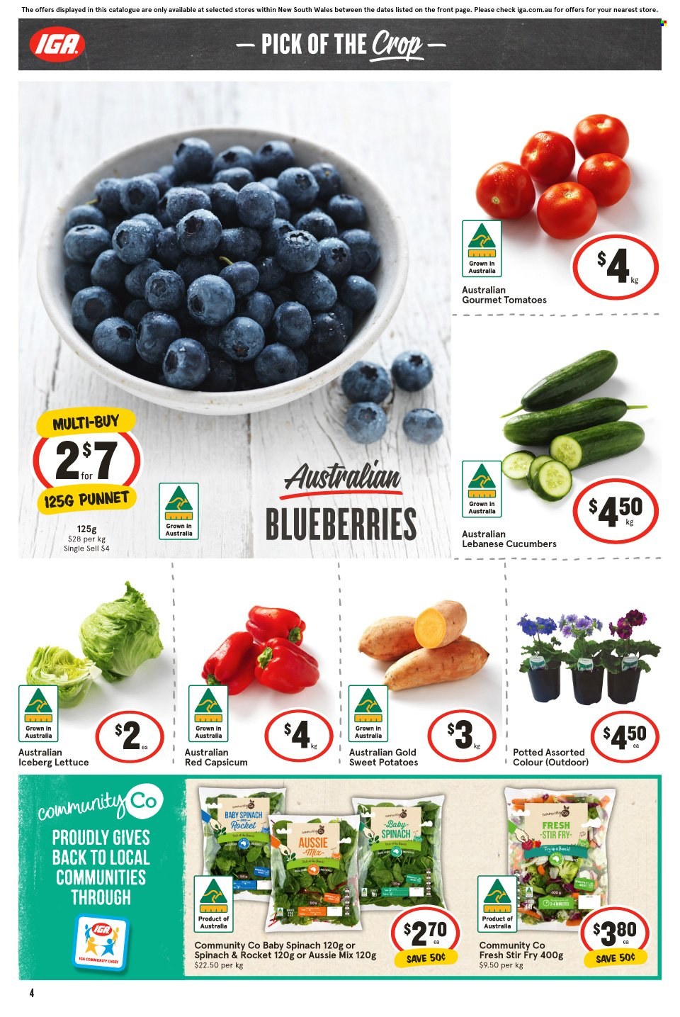IGA catalogue - 30 Aug 2023 - 5 Sep 2023. Page 5