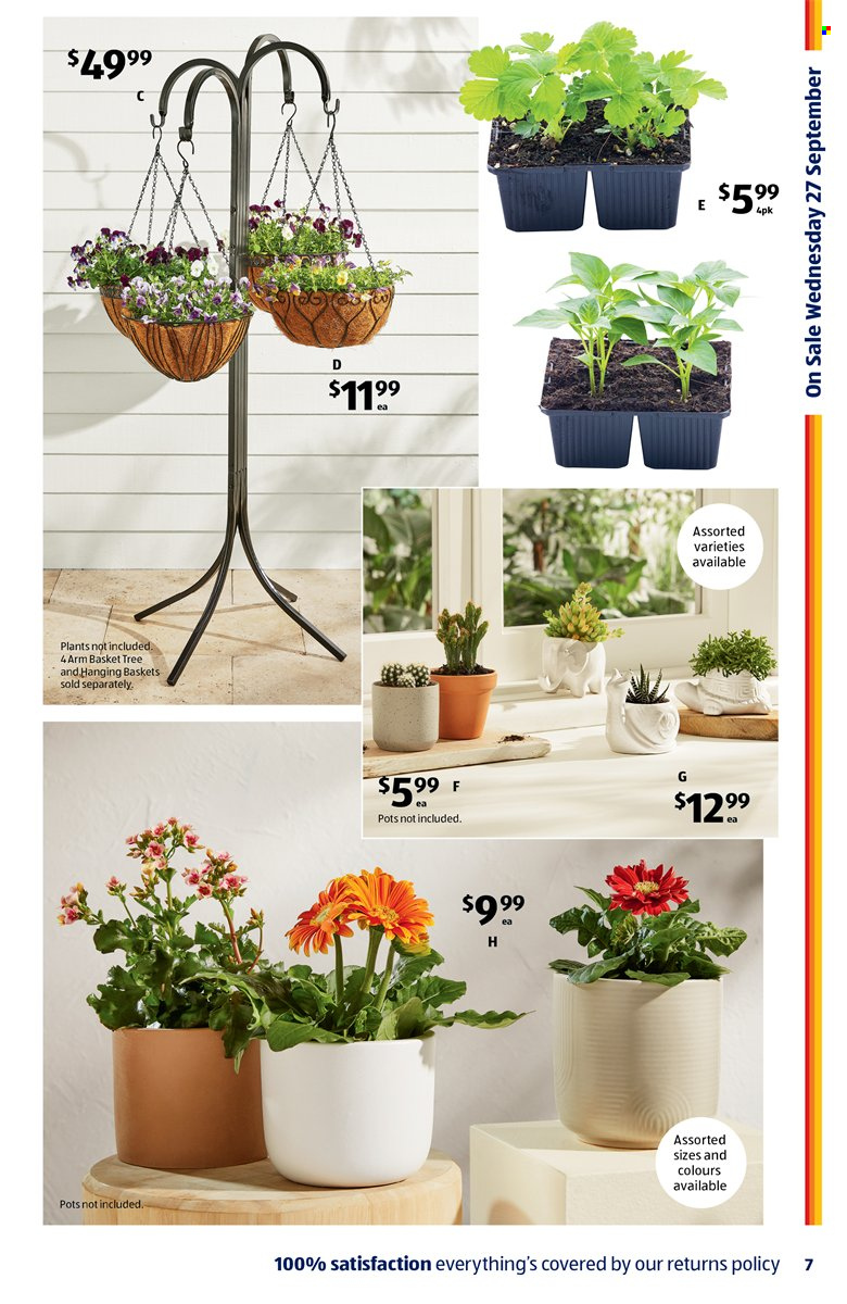 ALDI catalogue - 27 Sep 2023 - 3 Oct 2023. Page 7
