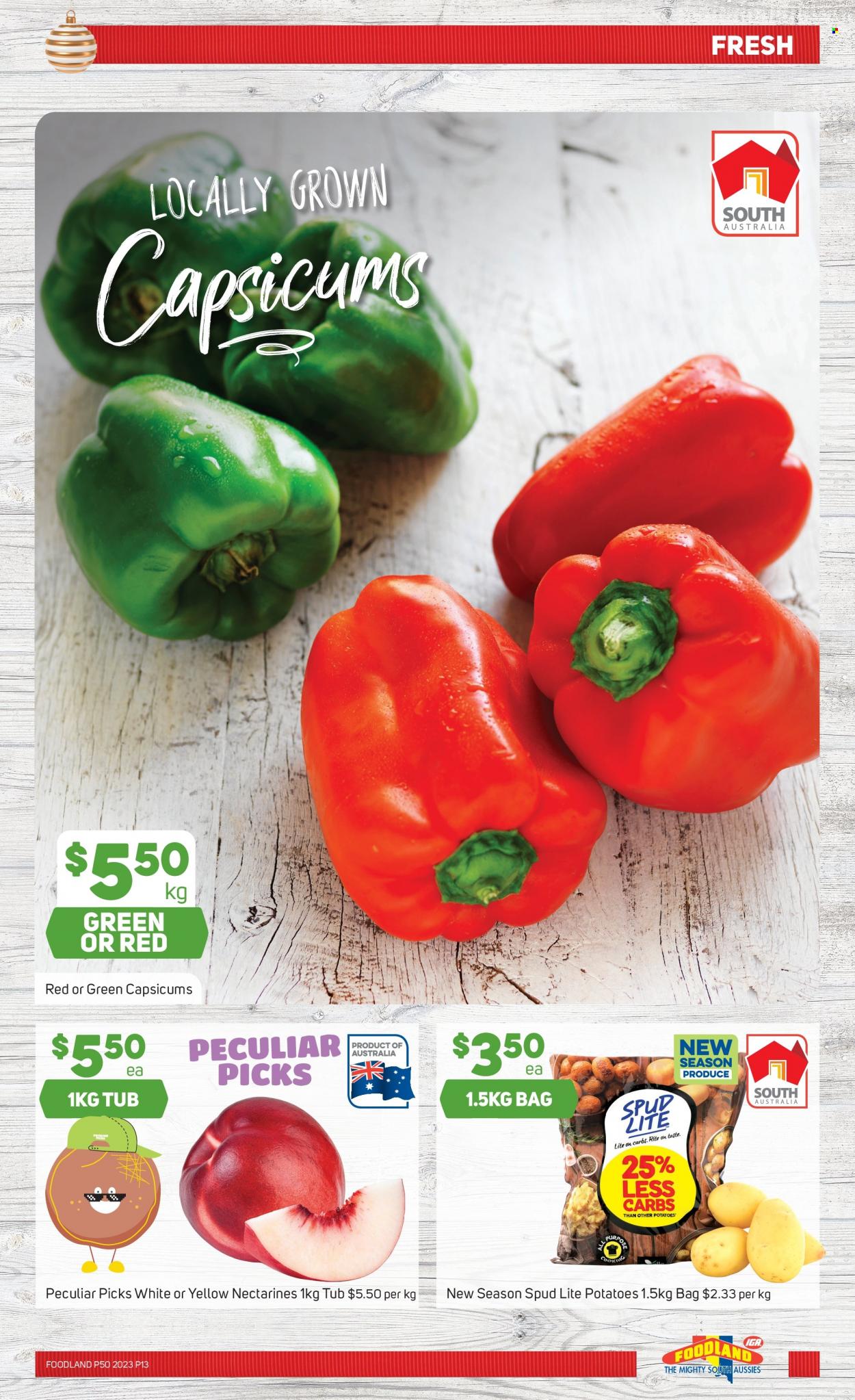 Foodland catalogue - 13 Dec 2023 - 19 Dec 2023. Page 13