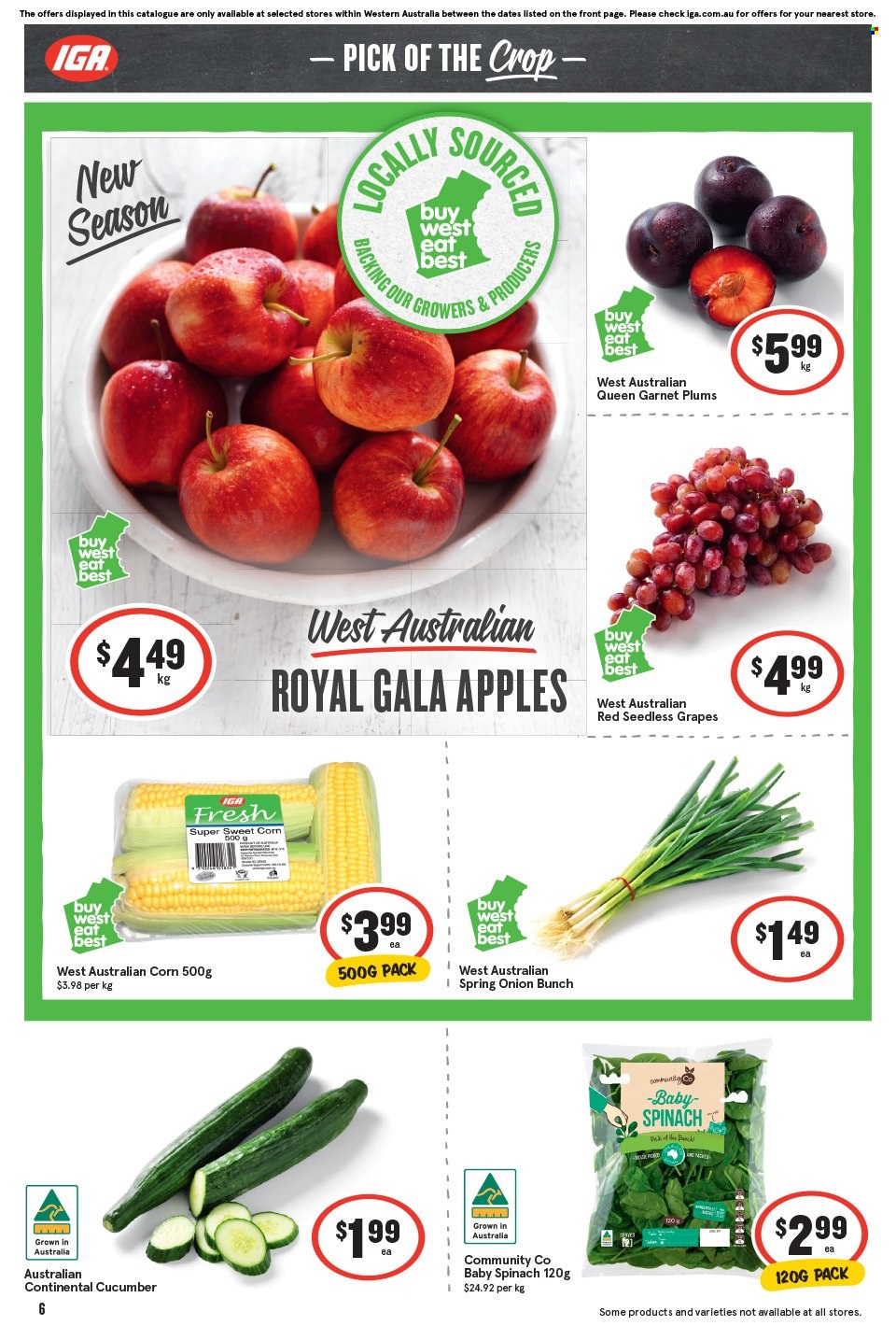 IGA catalogue - 21 Feb 2024 - 27 Feb 2024. Page 7