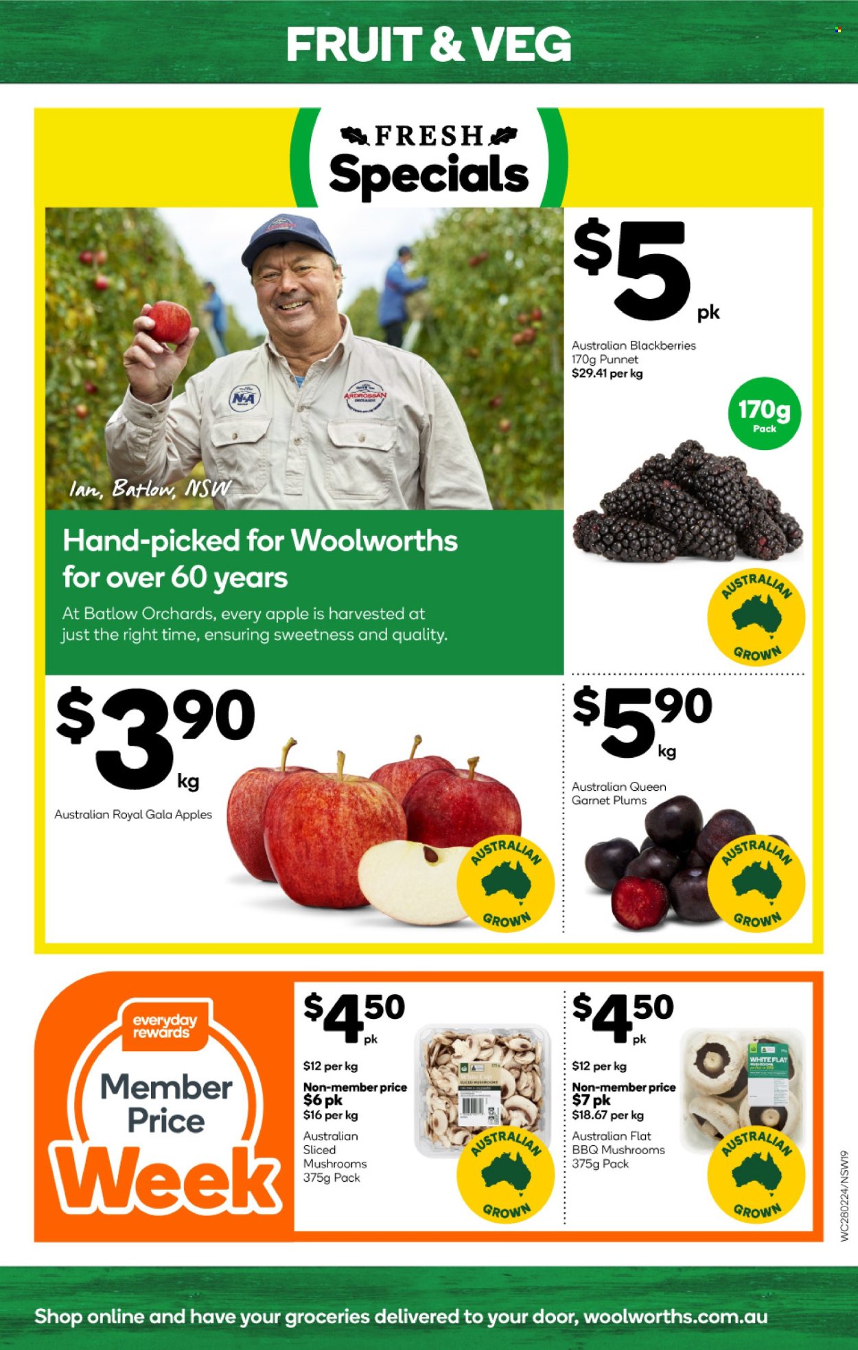 Woolworths catalogue - 28 Feb 2024 - 5 Mar 2024. Page 19
