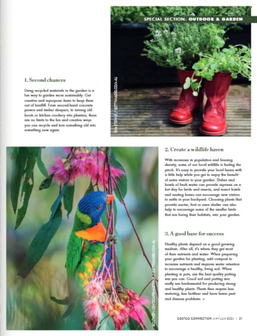 Costco catalogue - 1 May 2024 - 30 Jun 2024. Page 31