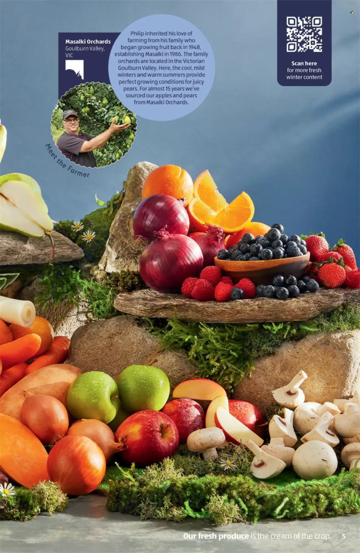 ALDI catalogue. Page 5