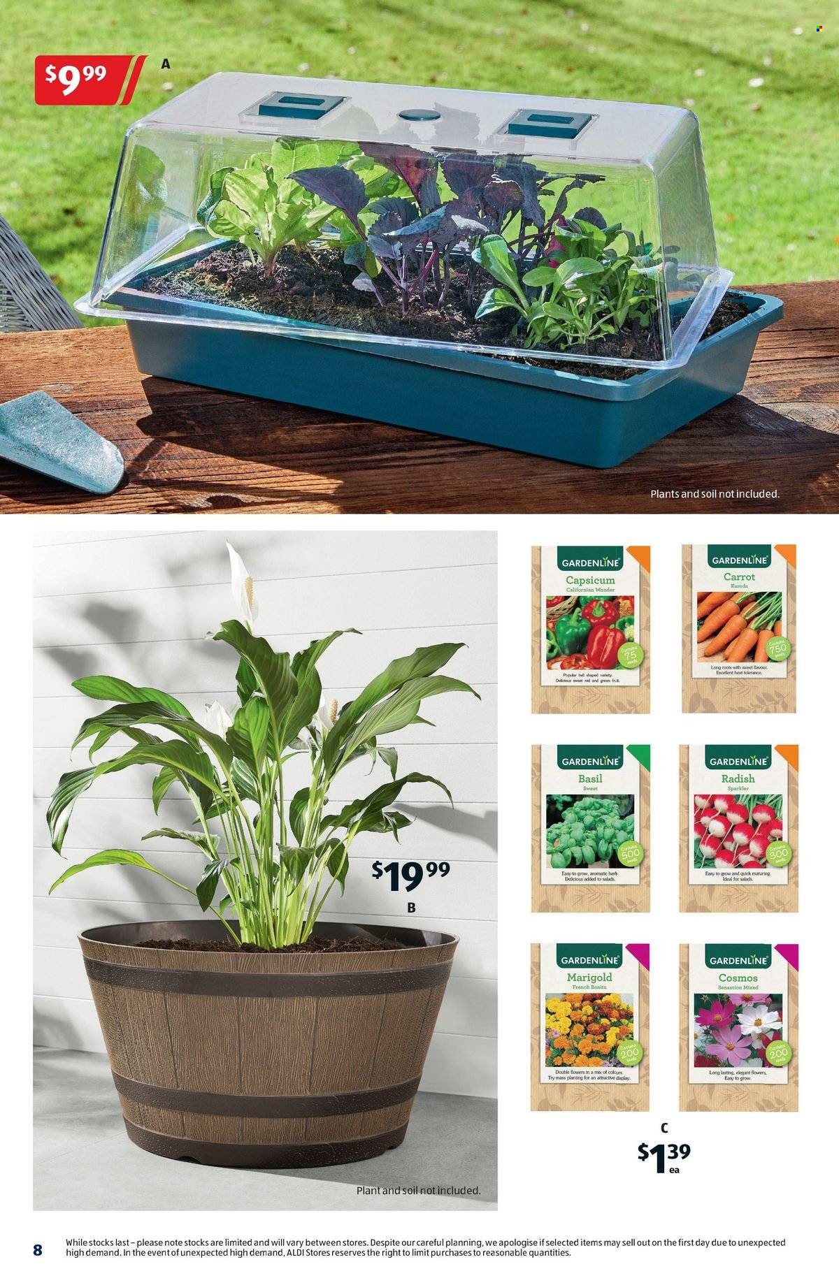 ALDI catalogue - 4 Sep 2024 - 10 Sep 2024. Page 8