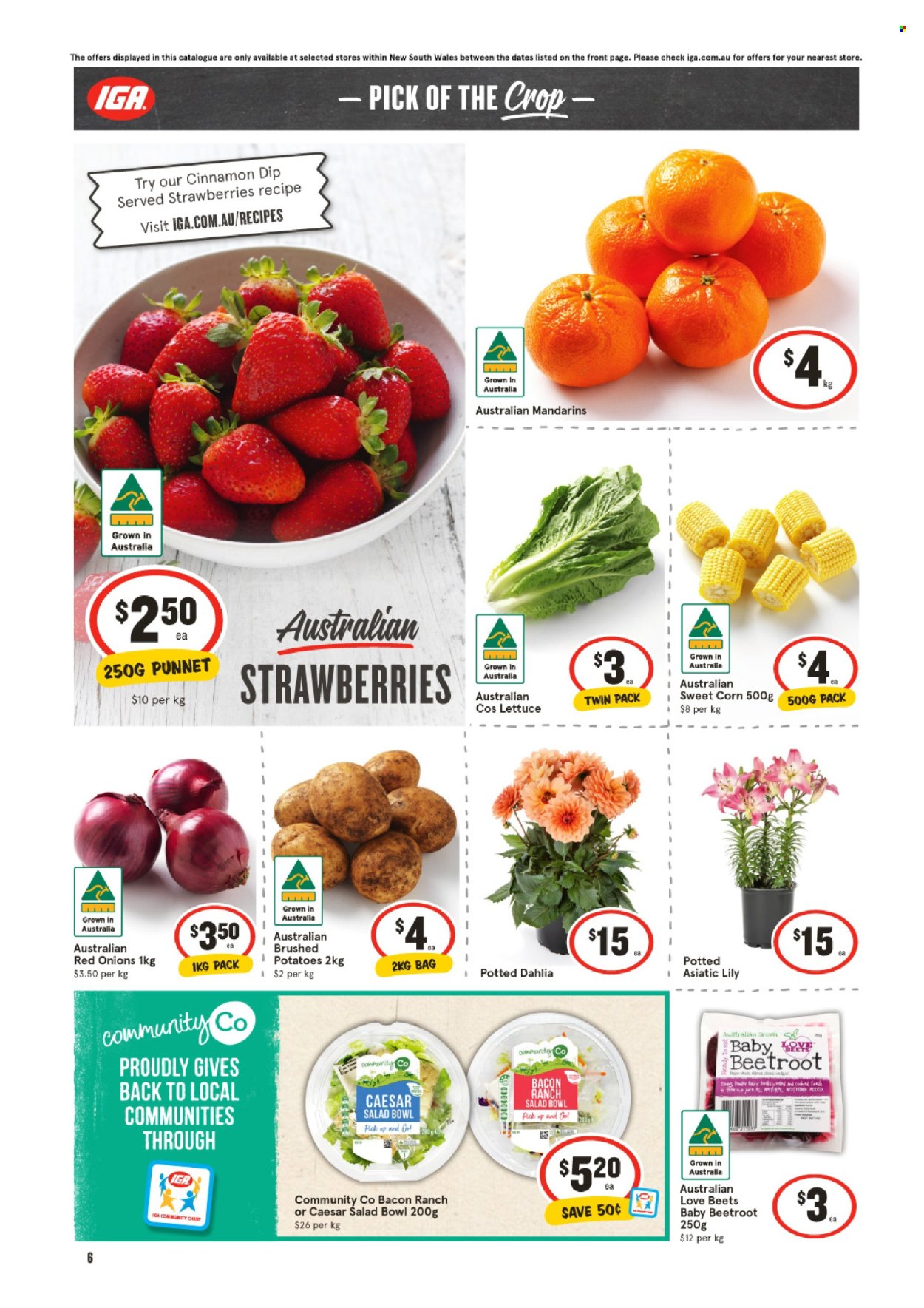 IGA catalogue - 18 Sep 2024 - 24 Sep 2024. Page 7
