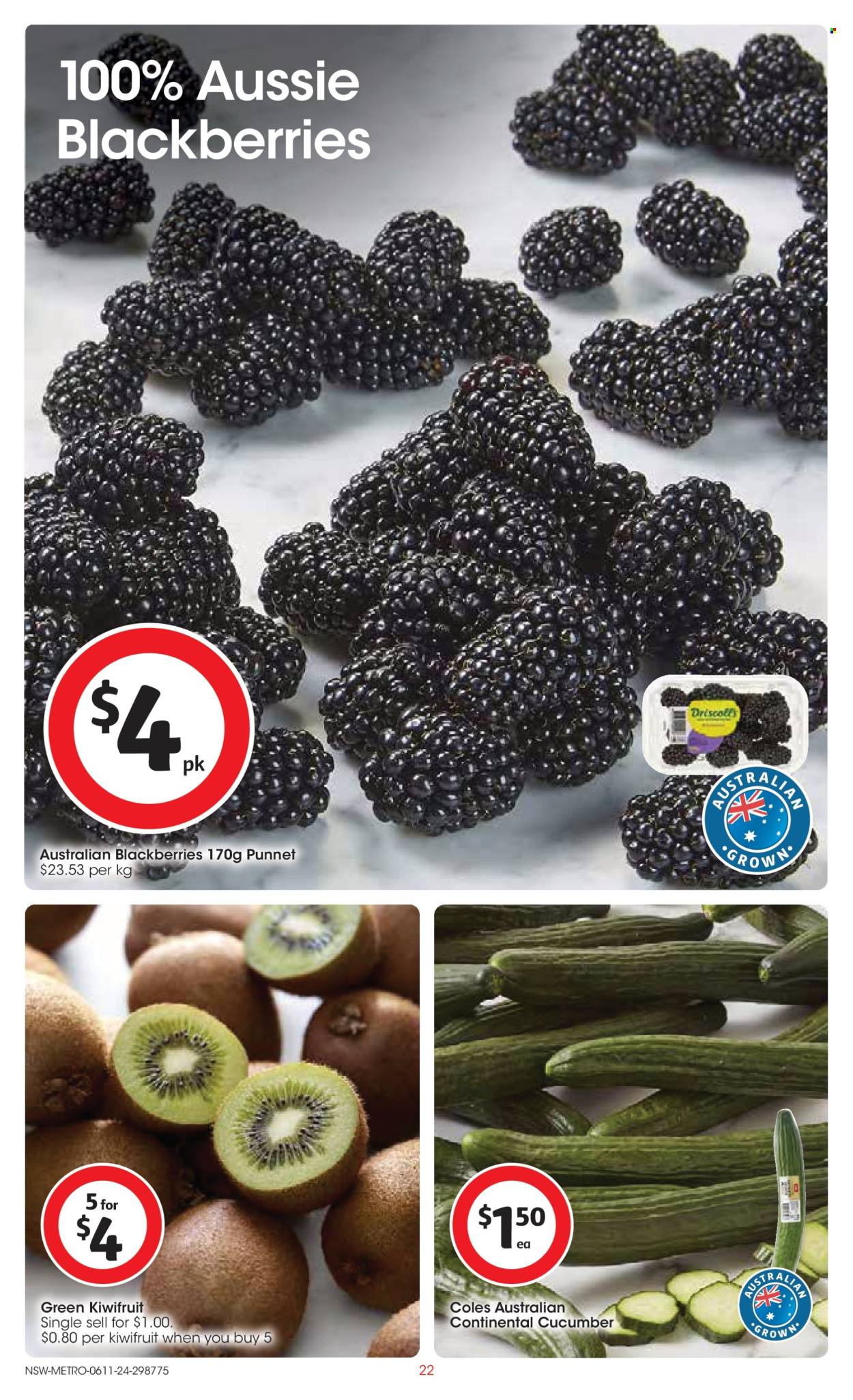 Coles catalogue - 6 Nov 2024 - 12 Nov 2024. Page 22