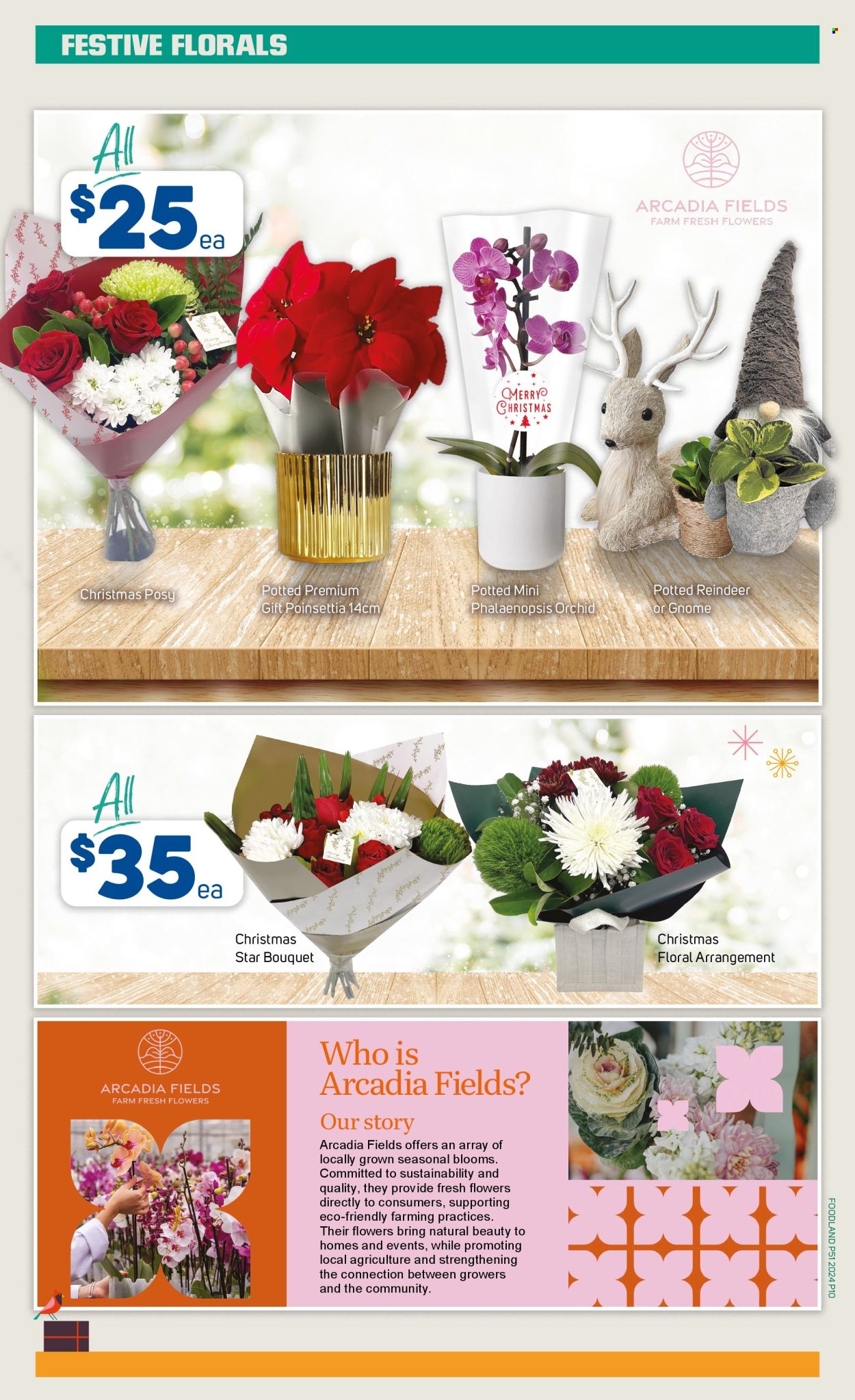 Foodland catalogue - 18 Dec 2024 - 24 Dec 2024. Page 10