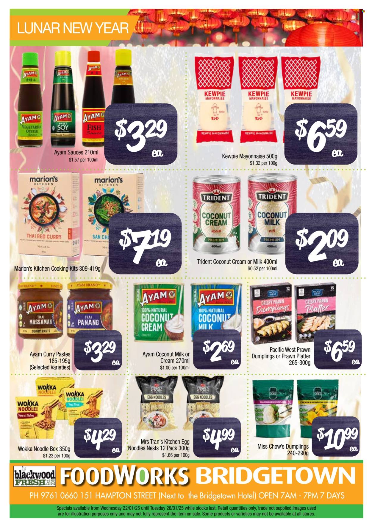 Foodworks catalogue - 22 Jan 2025 - 28 Jan 2025. Page 8