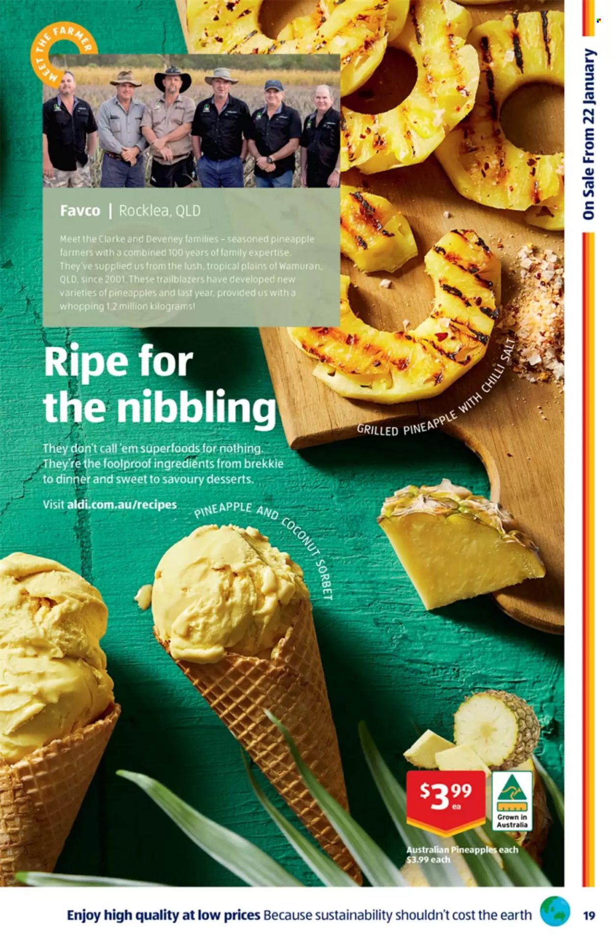 ALDI catalogue - 29 Jan 2025 - 4 Feb 2025. Page 19