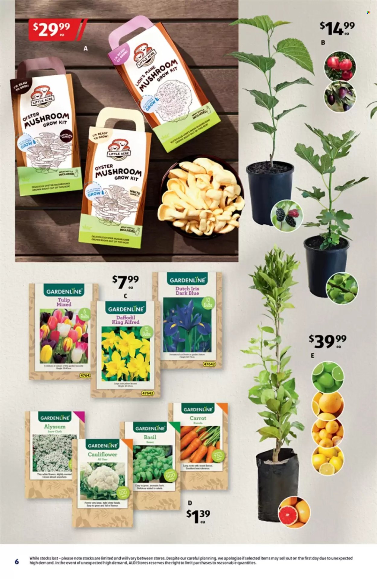 ALDI catalogue - 2 Apr 2025 - 8 Apr 2025. Page 6