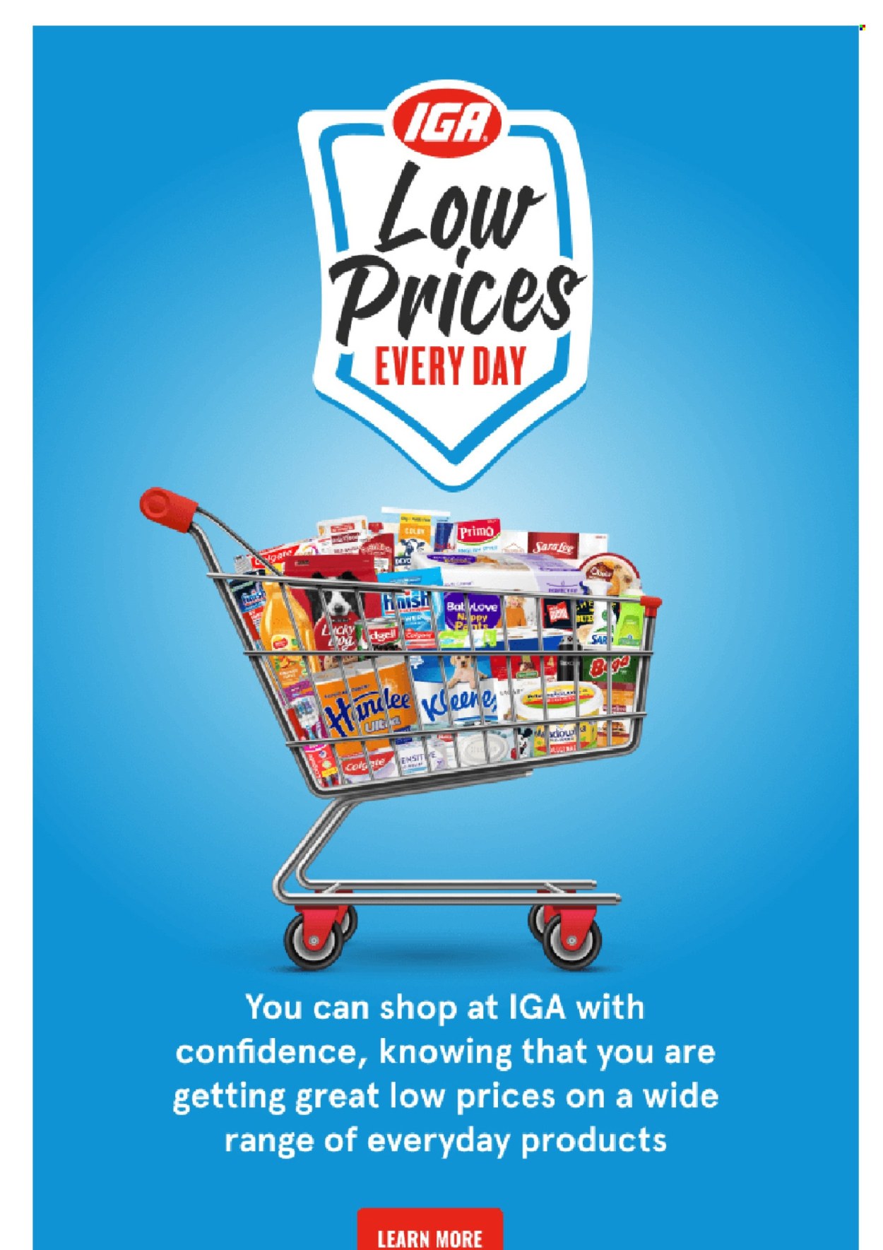 IGA catalogue - 27 Aug 2025 - 2 Sep 2025. Page 21