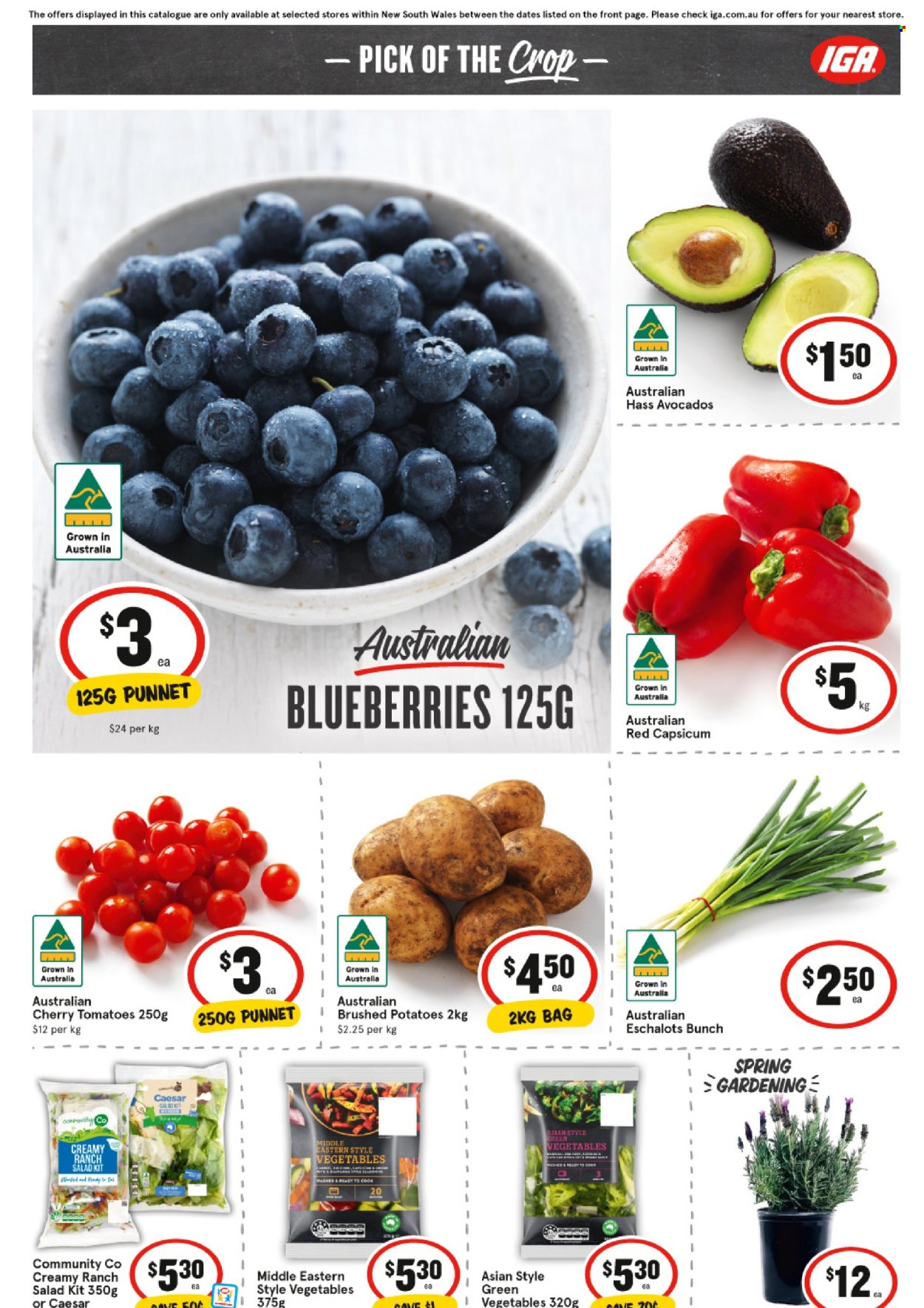IGA catalogue - 3 Sep 2025 - 9 Sep 2025. Page 6