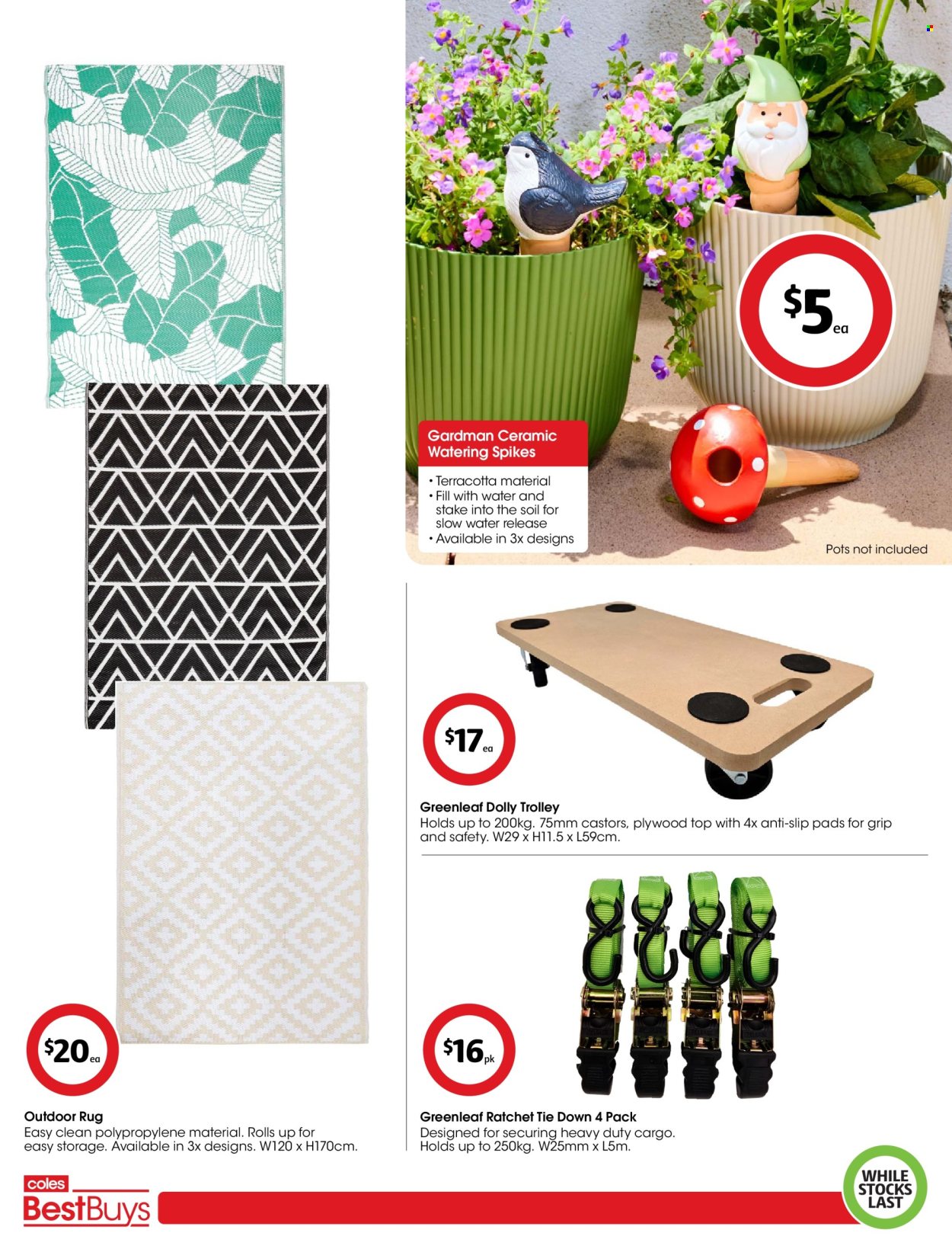 Coles catalogue - 2 Jan 2026 - 15 Jan 2026. Page 7